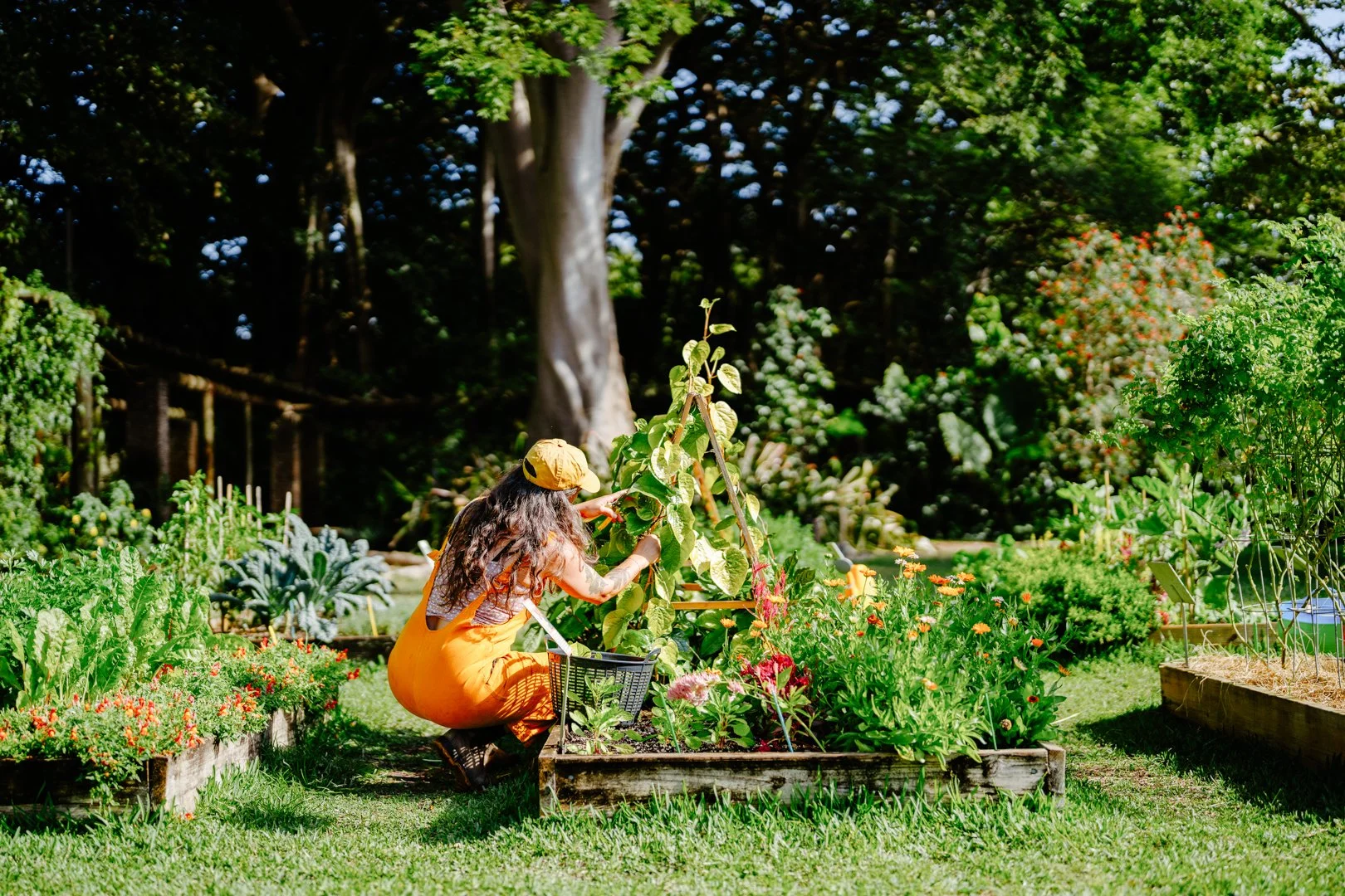 250208 _ LITTLE RIVER COOP-2.jpg