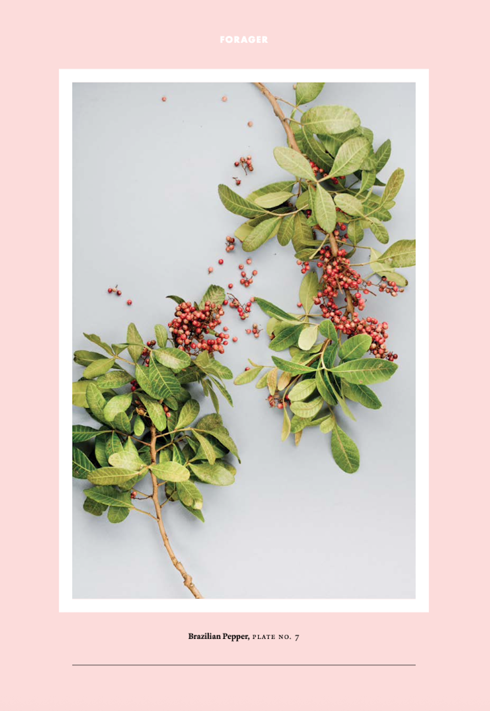 Screenshot 2026-03-31 at 8.50.39 PM.png