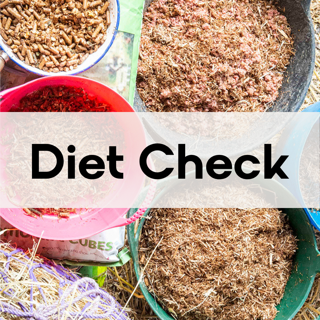 Diet+Check.png