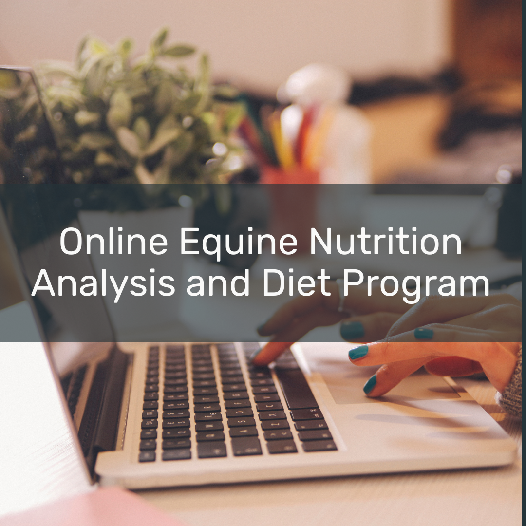 Online Equine Nutrition Analysis and Diet Program