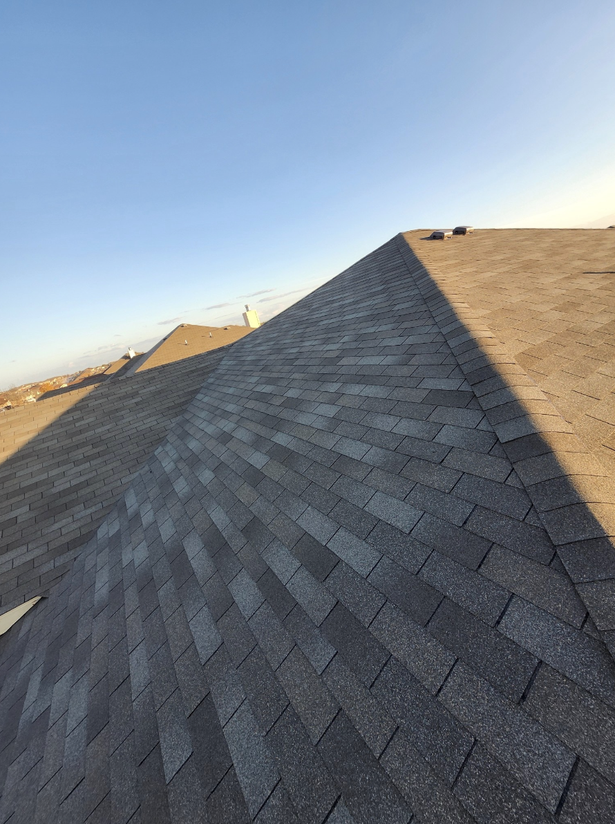 Screenshot 2024-12-23 at 10.25.32 AM.png