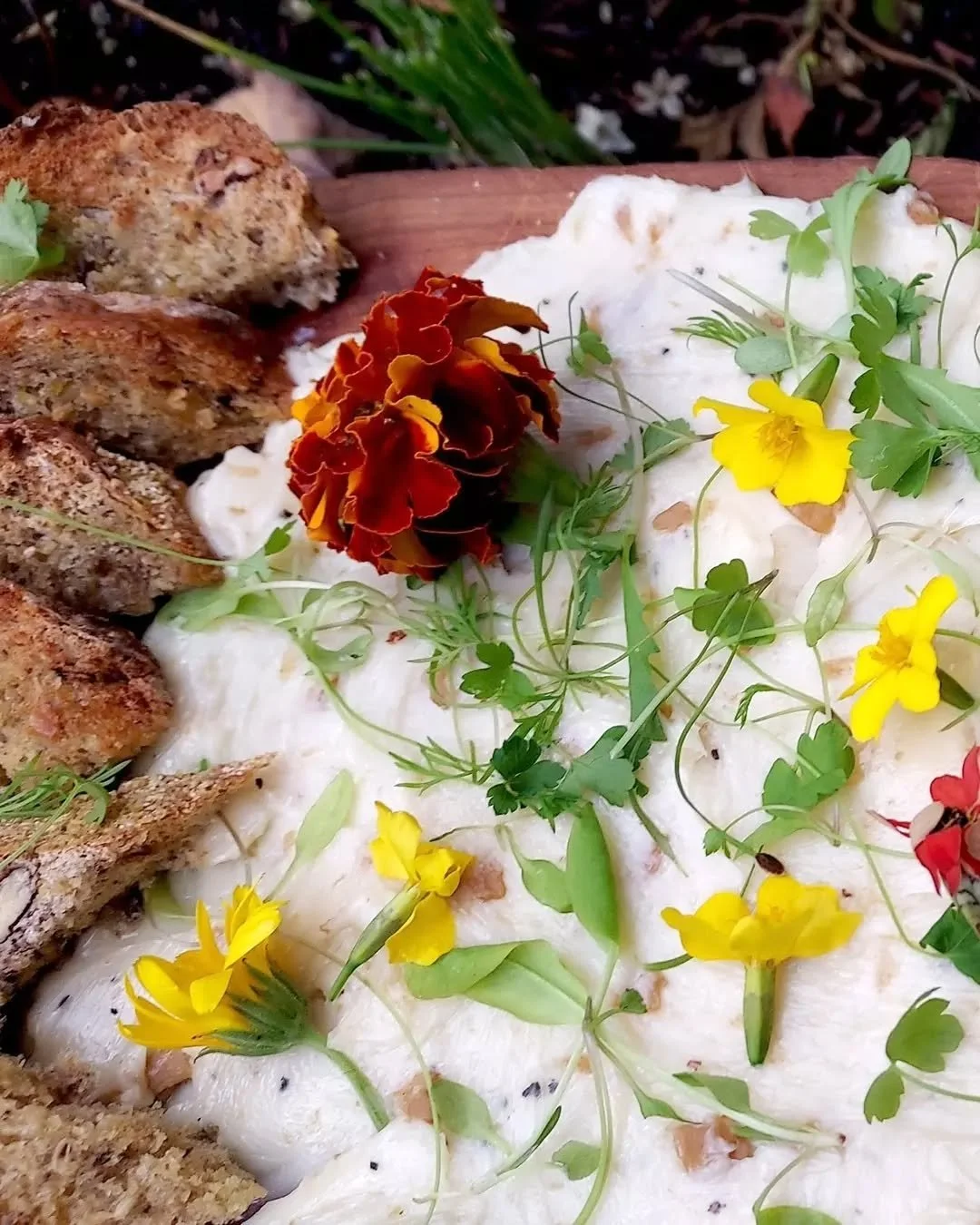 Self-serve holiday appetizers make entertaining super easy. Bring your personal touch to the spread with a schmear of elegant truffle butter. #blacktrufflebutter #whitetrufflebutter #butterboards  #holidayappetizers #holidayentertaining