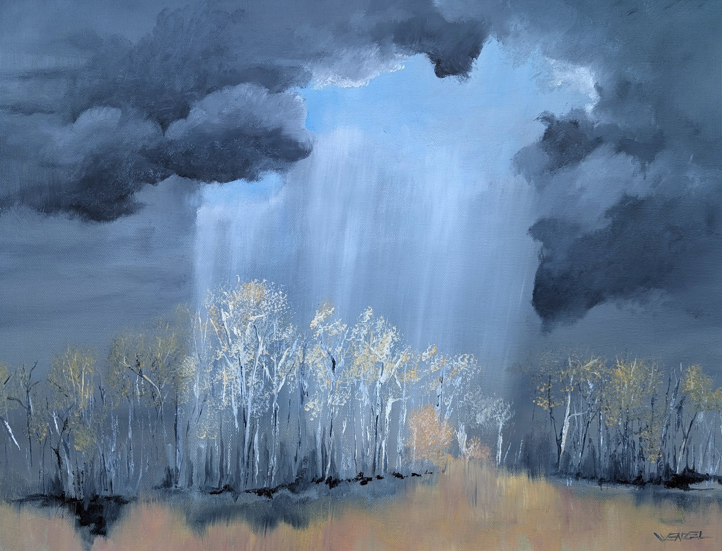 Sunlight On The Trees