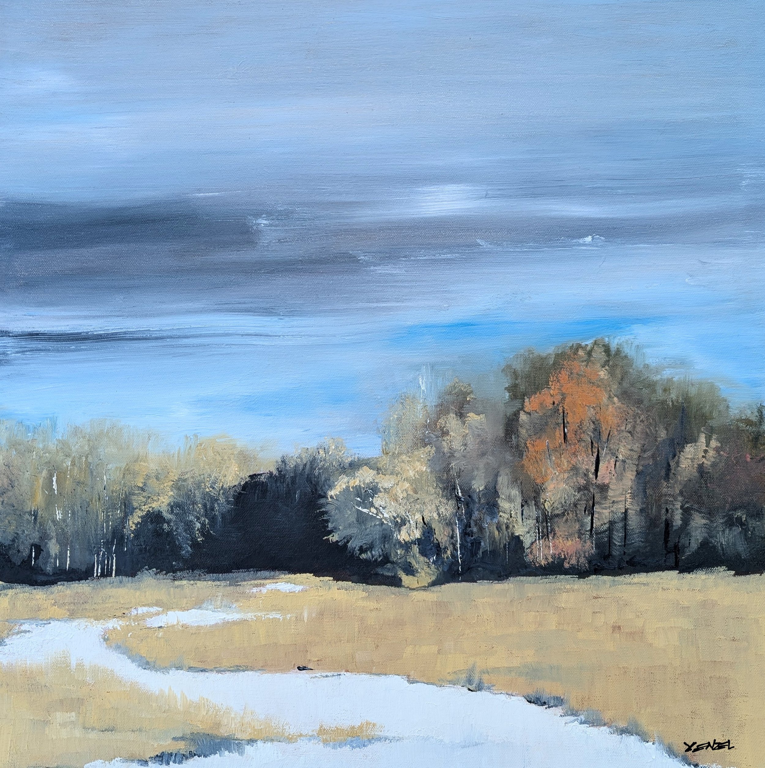East Gallatin Meadow