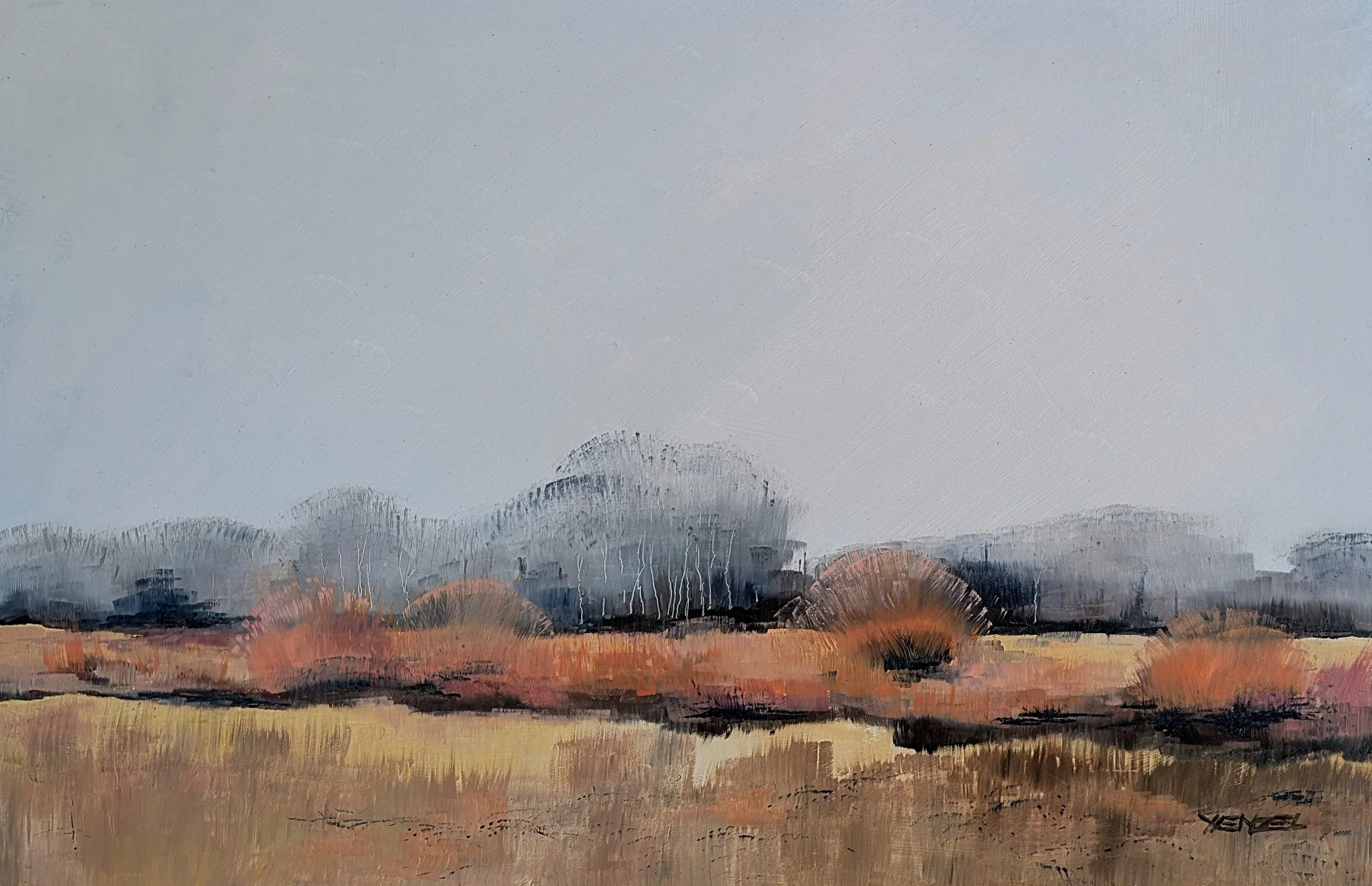 Willow And Cottonwood