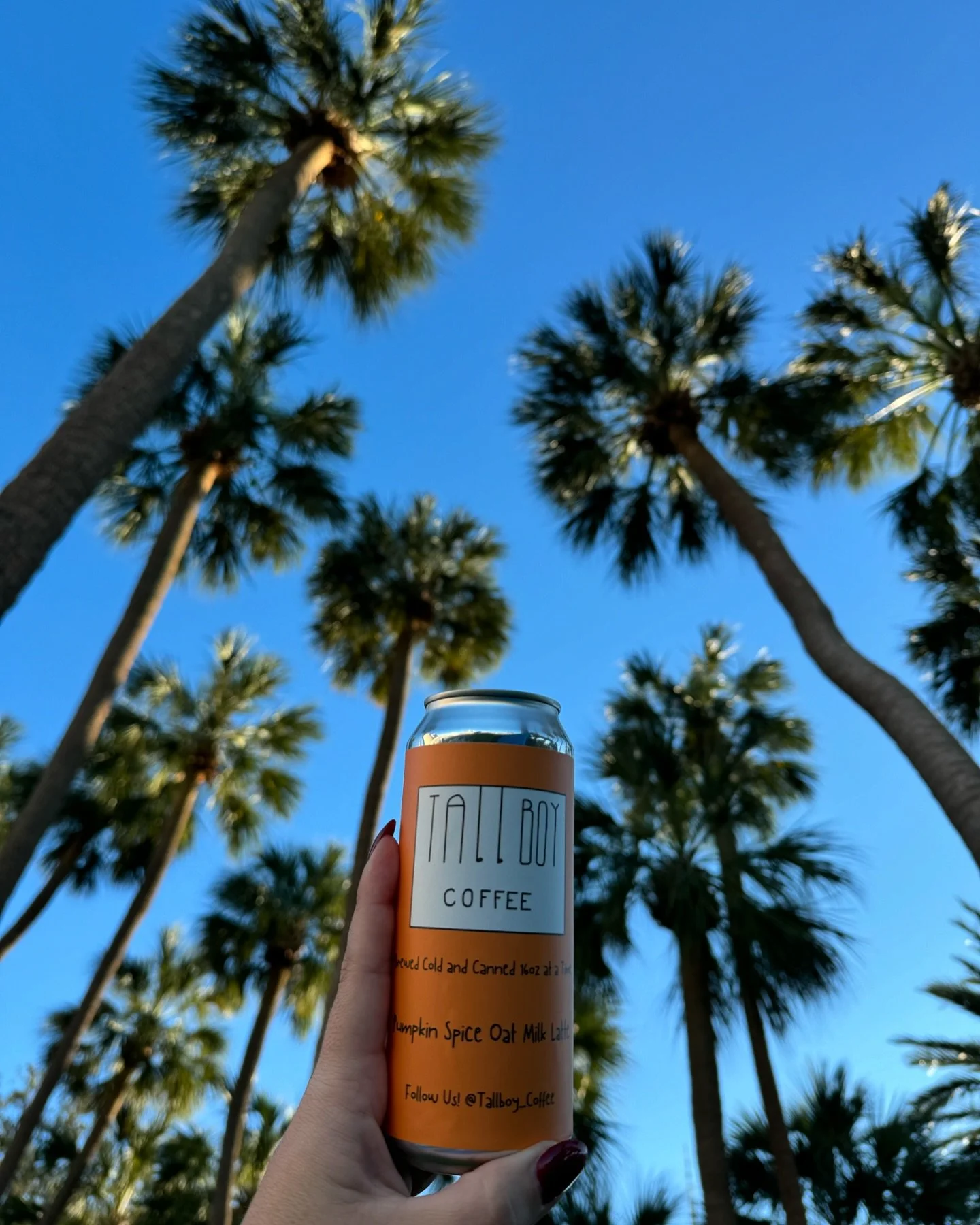 POV: You&rsquo;re swinging in a hammock enjoying this stunning weather getting ready to pop open a crispy pumpkin spice Tallboy. Let the Thanksgiving week commence! 

Photo cred to the lovely @brielikethecheese16 

.
.
.
.
.
#coffee #coldbrew #coldbr