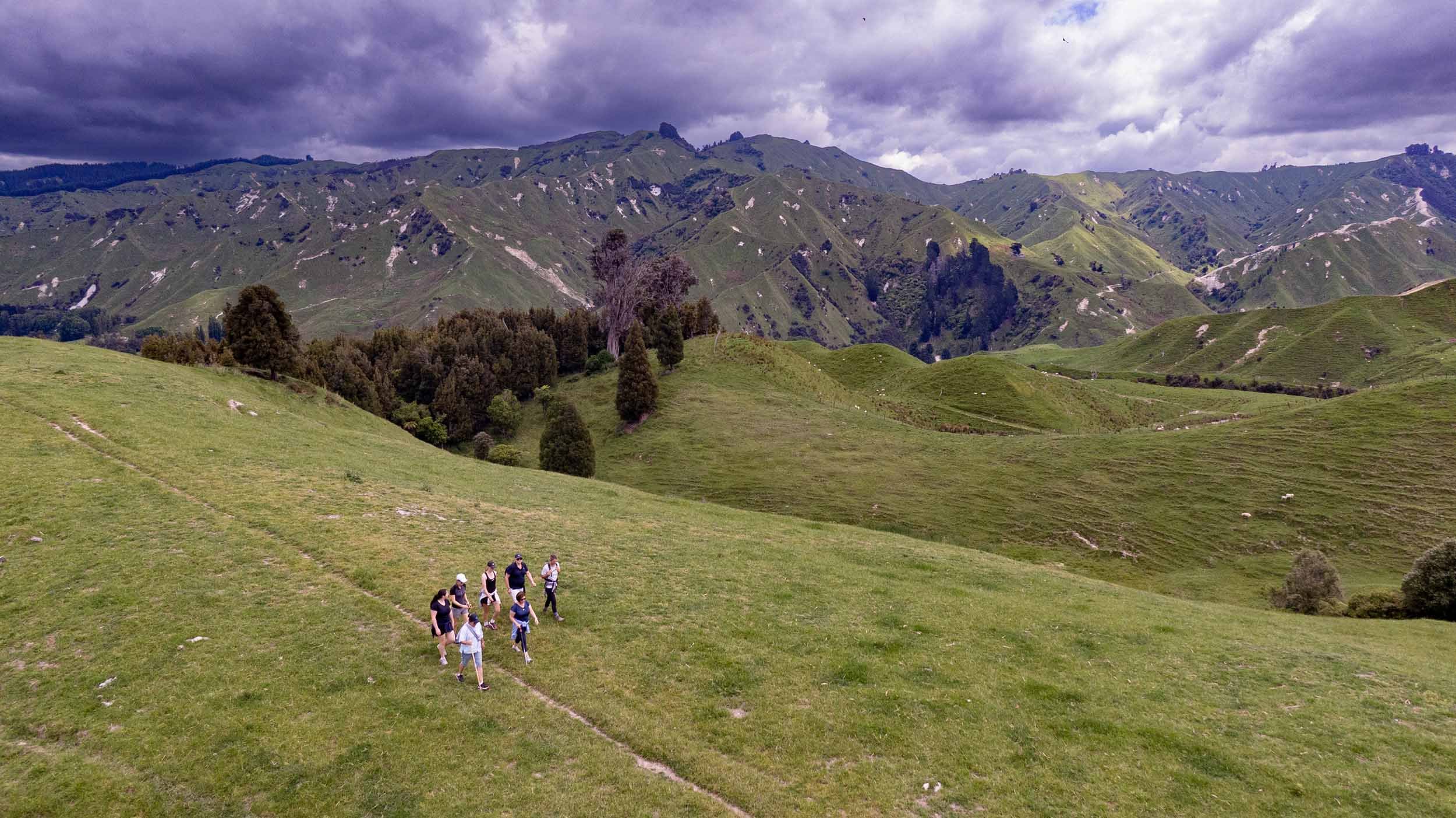BIGGER_DRYSDALE_WALKERS_033 copy.jpg