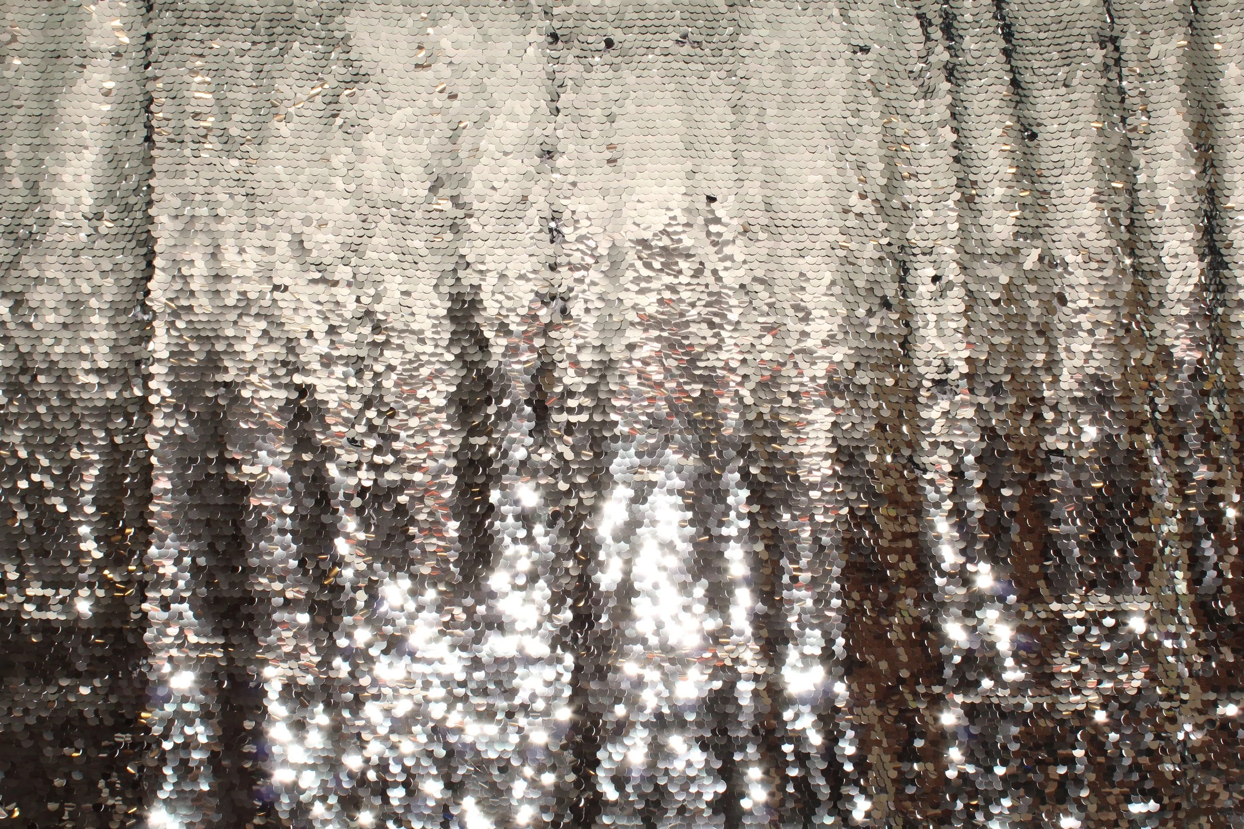 Shiny Silver Large Sequin.JPG