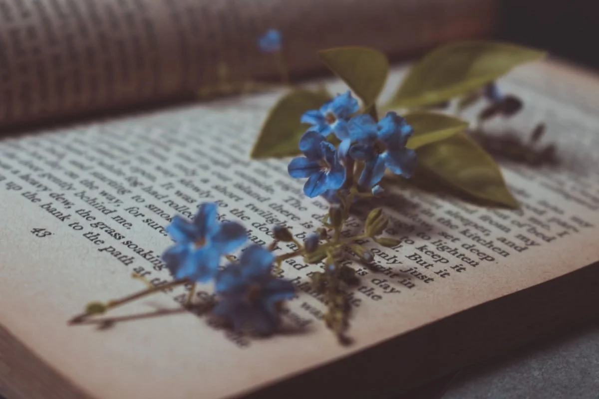 vecteezy_tiny-purple-flowers-in-old-vintage-book_15585161-1200x800.jpeg