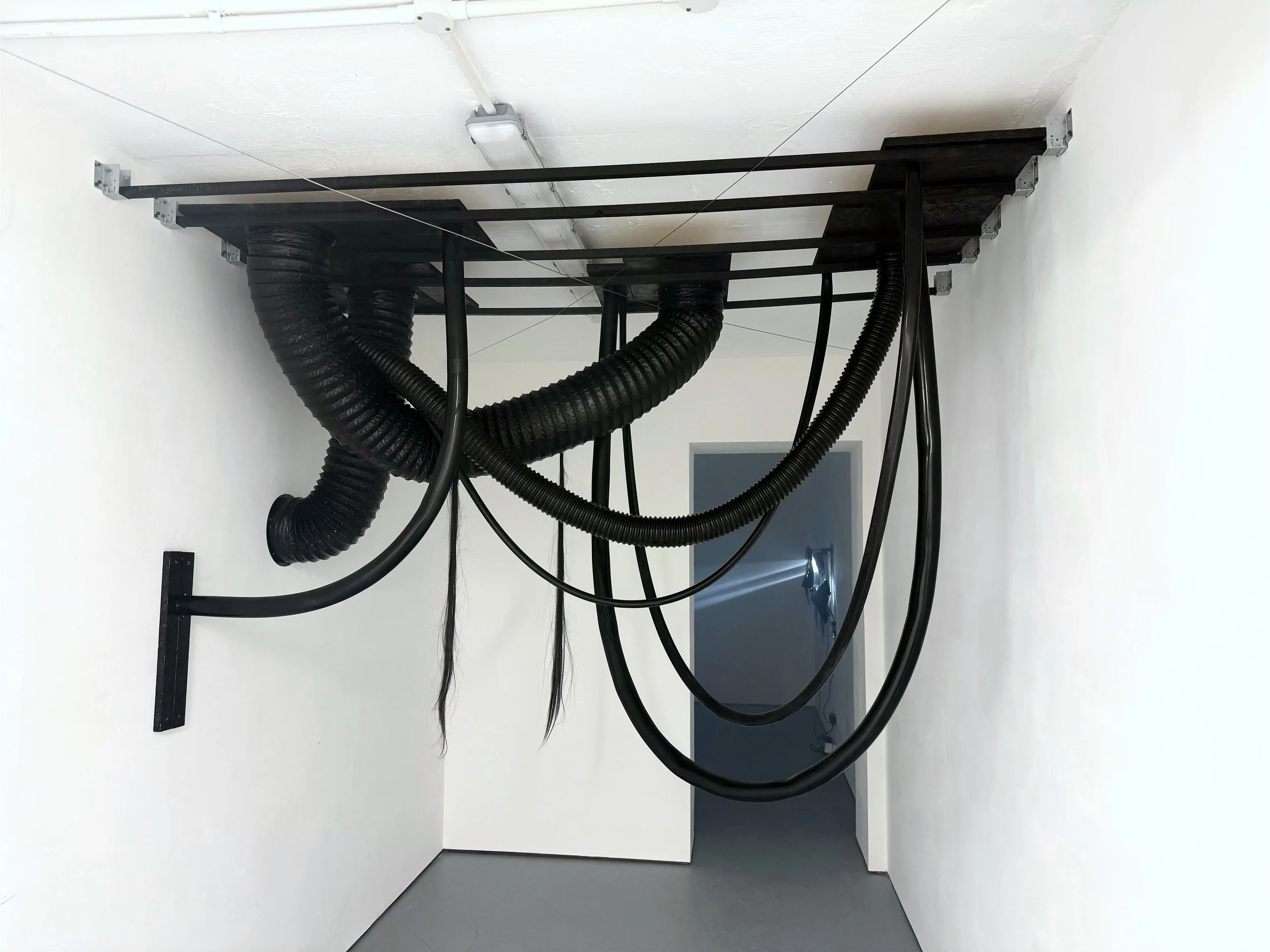 Entrails, 2026, Rubber tubes, plastic, foil, OSB wood, spray paint, and hair - 133 x 219 x 107 cm