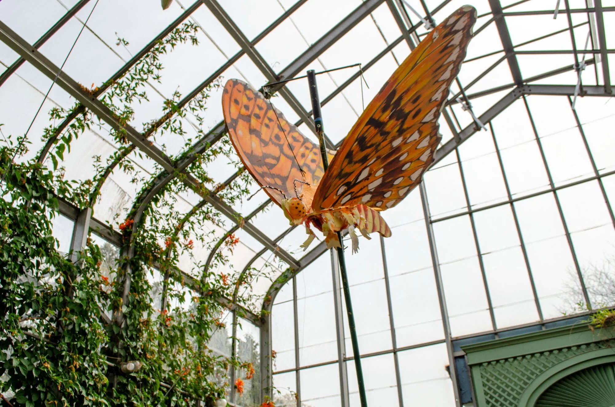 The Great Pollinator Ramble at Wave Hill
