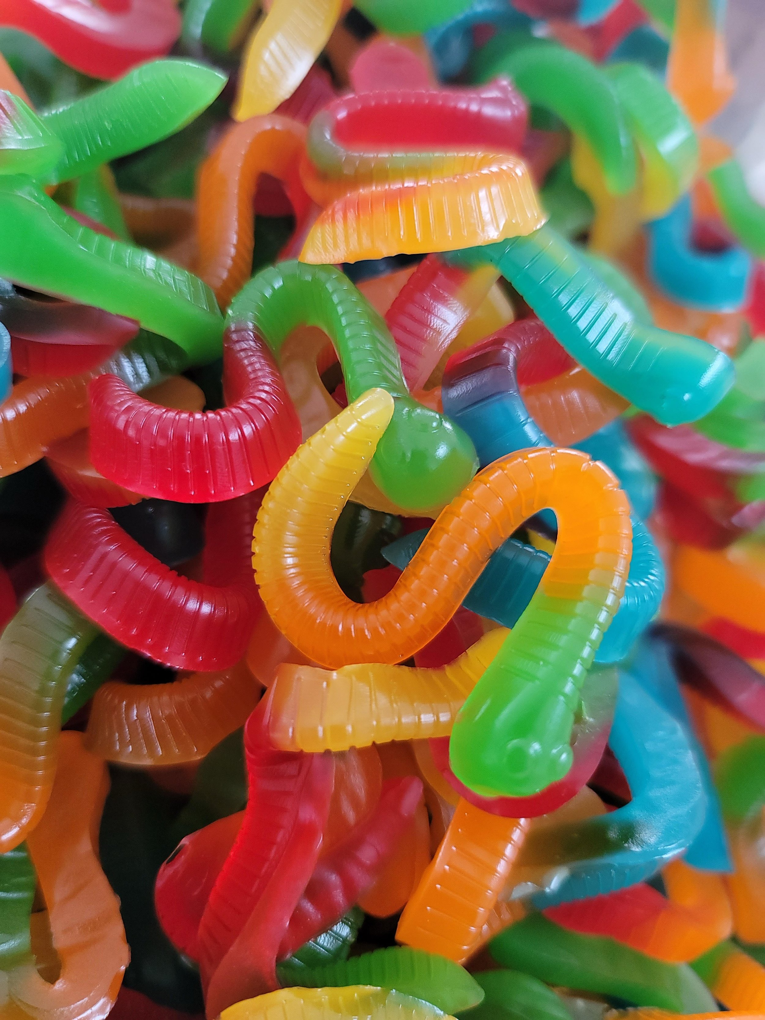 WORMS 1.jpg