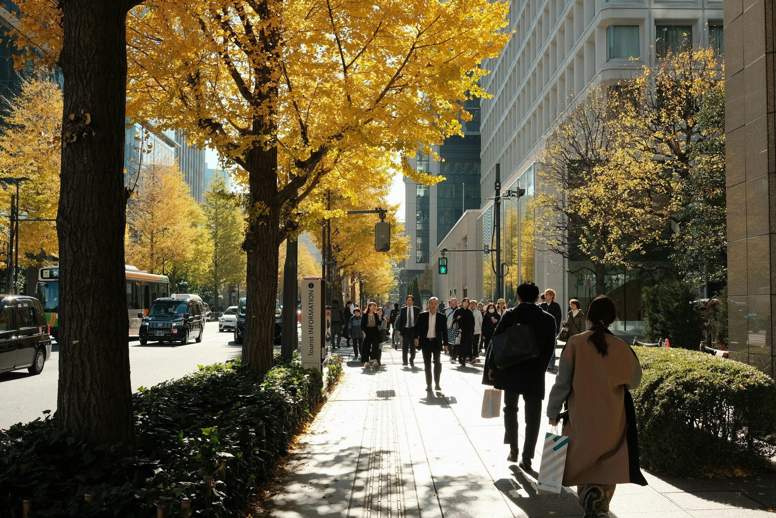 Fall Self-Care Rituals for High-Performing Professionals in Northern Virginia