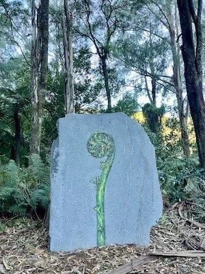 Fern mosiac in the forest