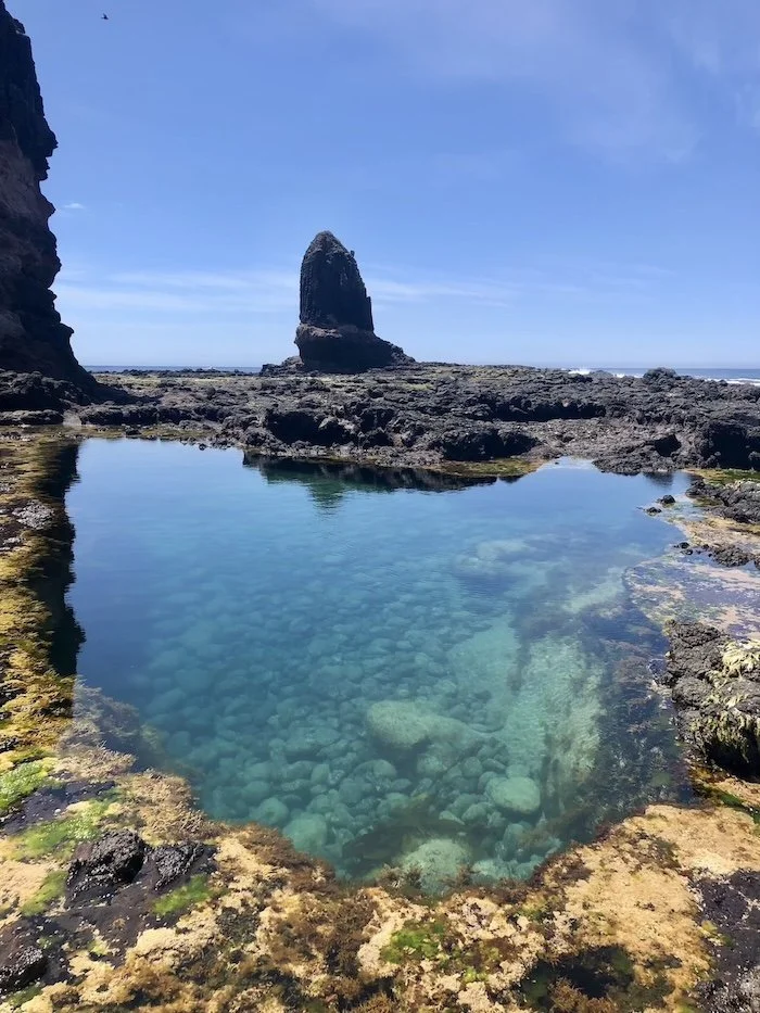 Victorian rock pool