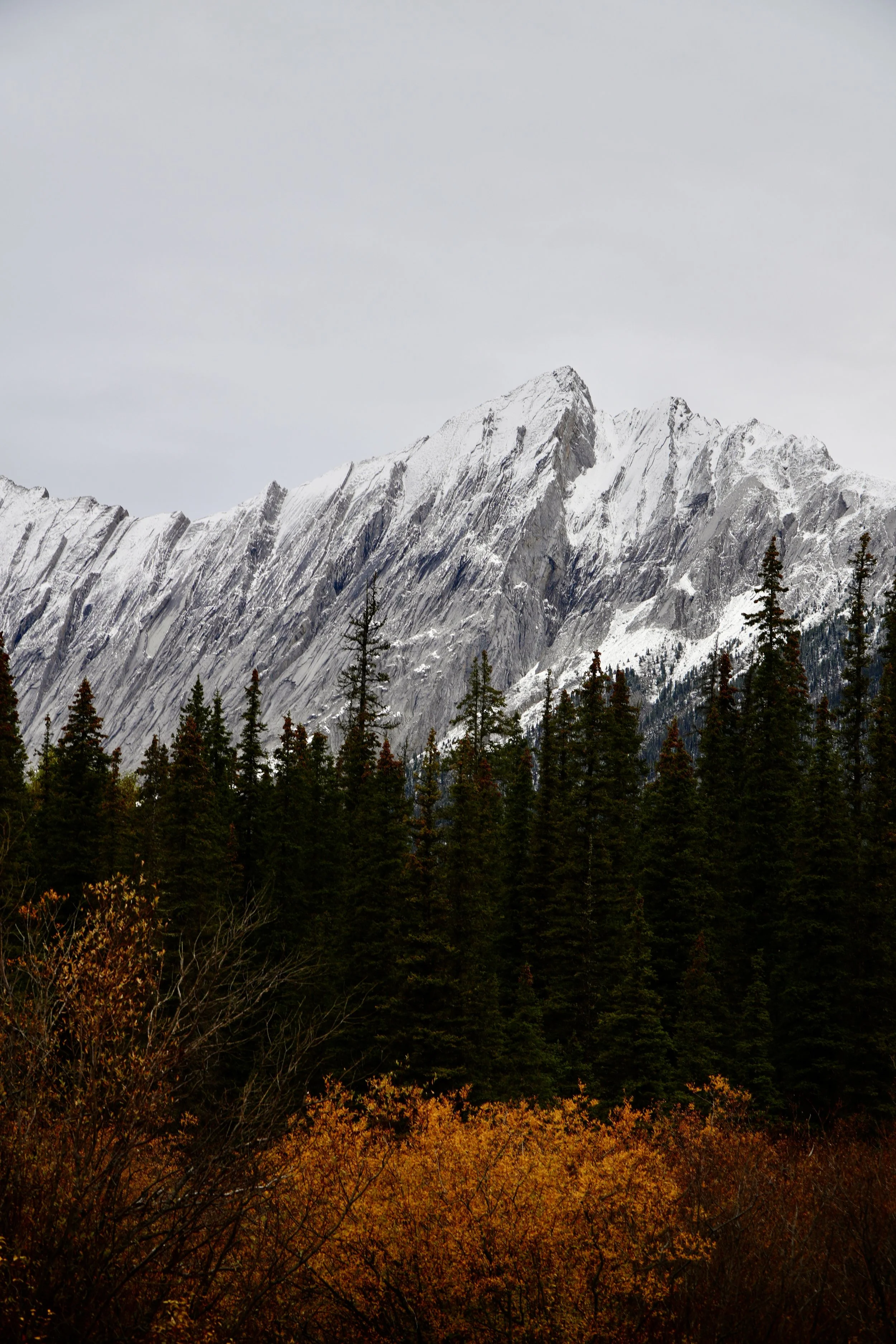 Alysha Huxley Canadian Rocky Mountains 4.jpg