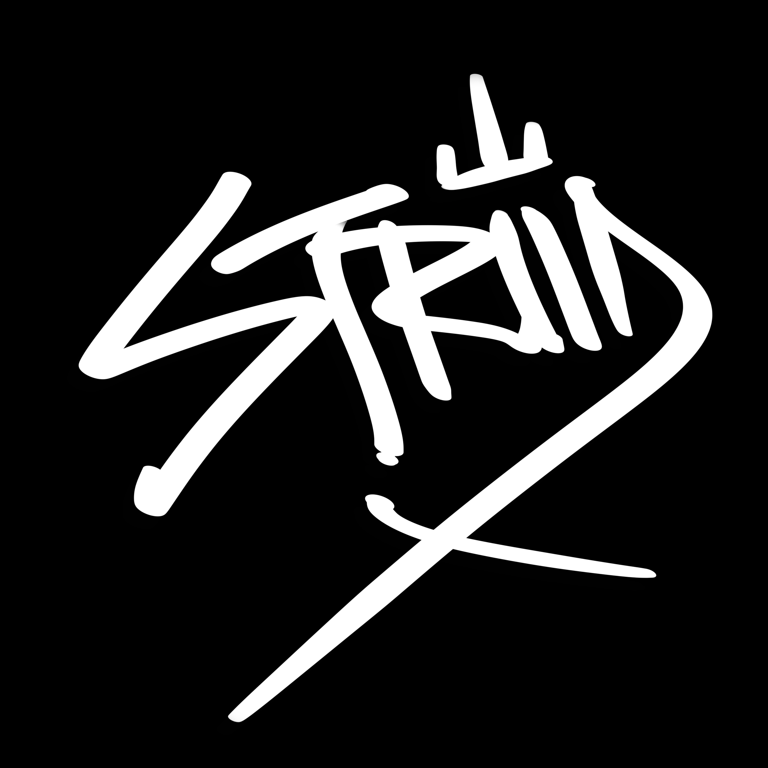 White graffiti-style text on a black background that says Striid. This is the artist's signature.