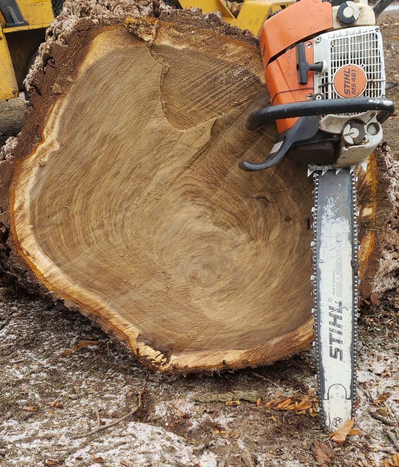 Trunk with Saw