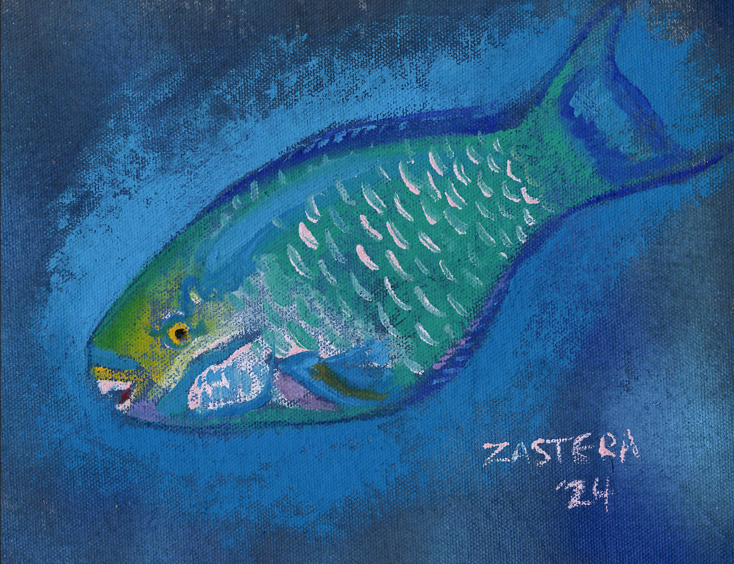 Queen Parrot Fish
