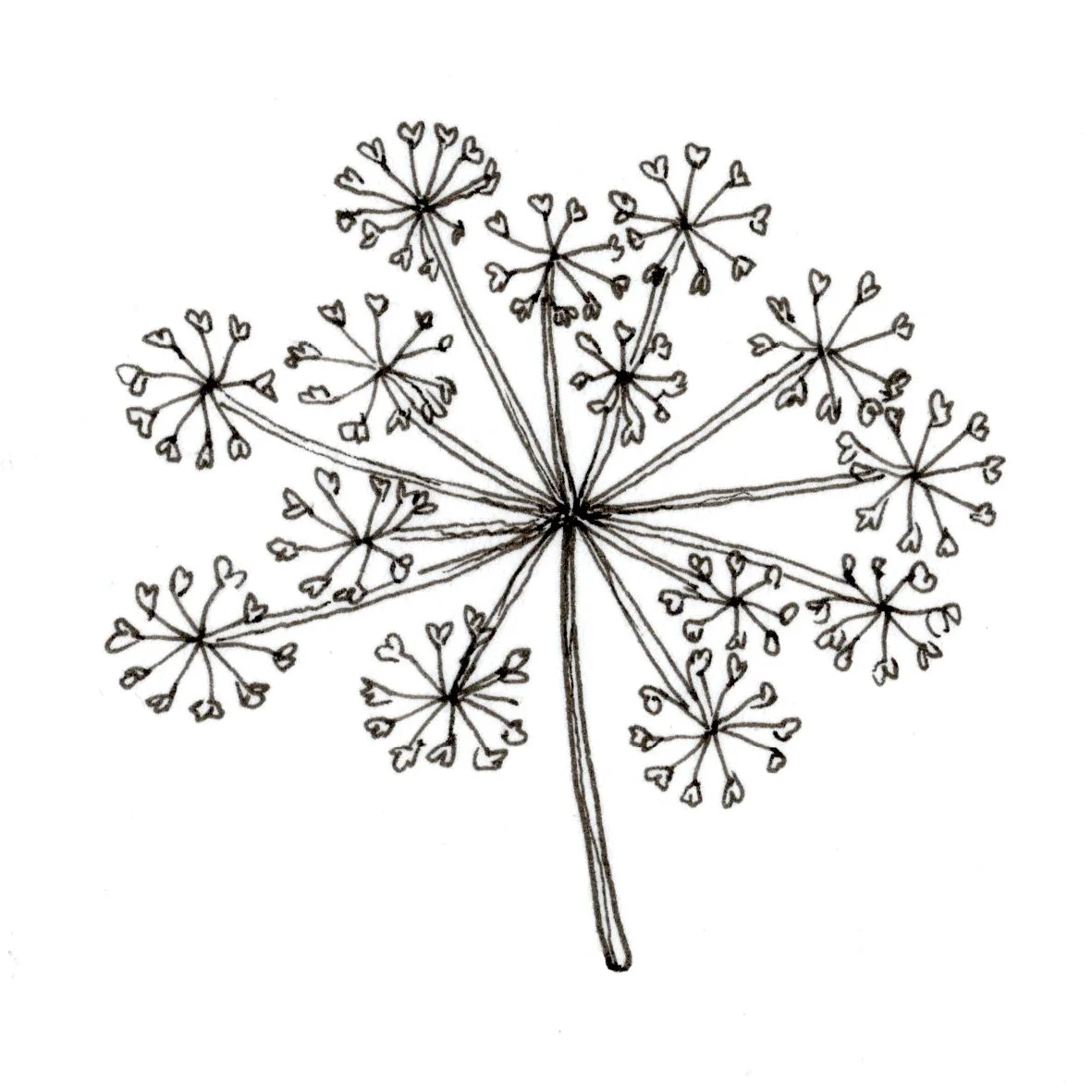 FLORA dinkus/Love Crumbs 