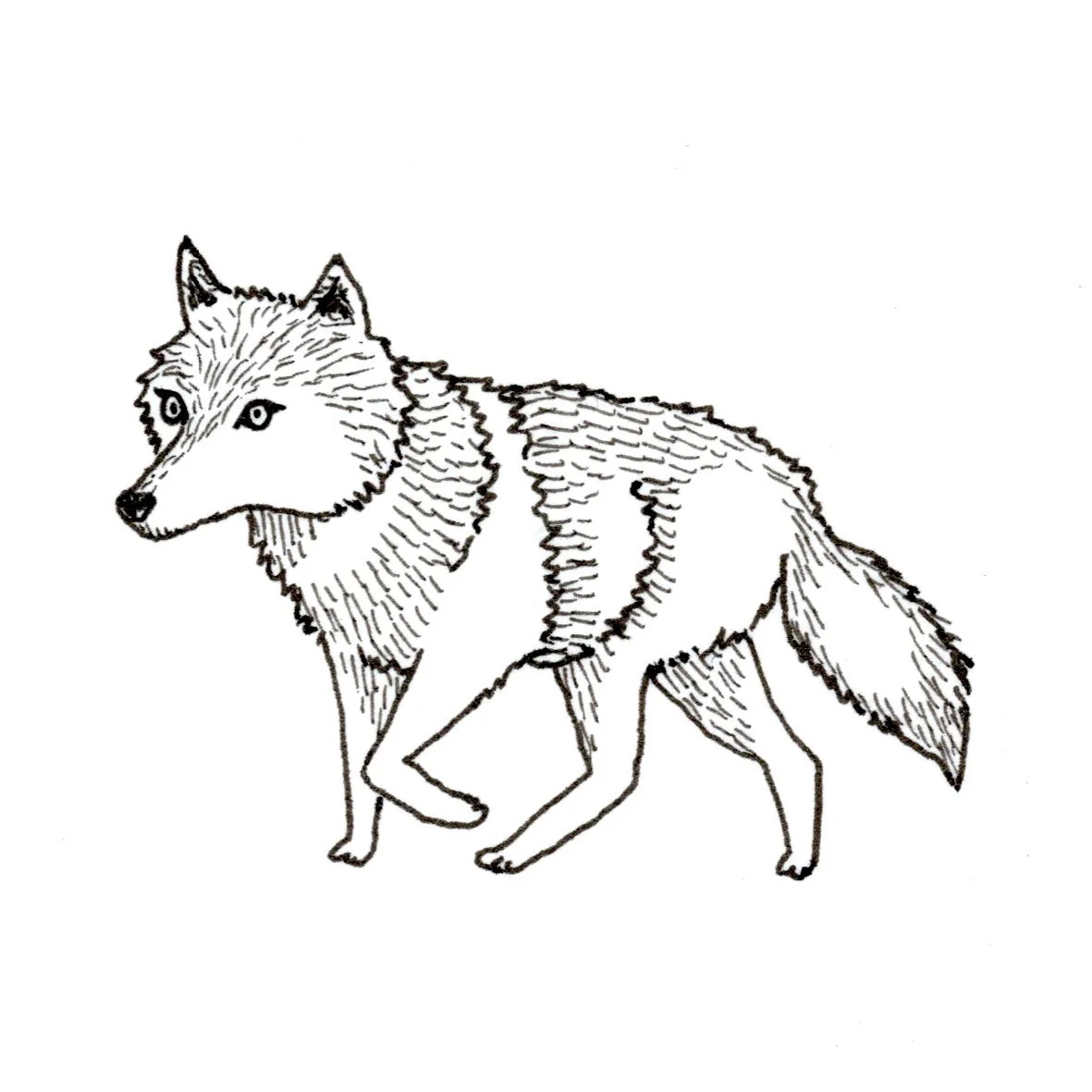 THE FABLE OF THE WOLVES dinkus/Love Crumbs 