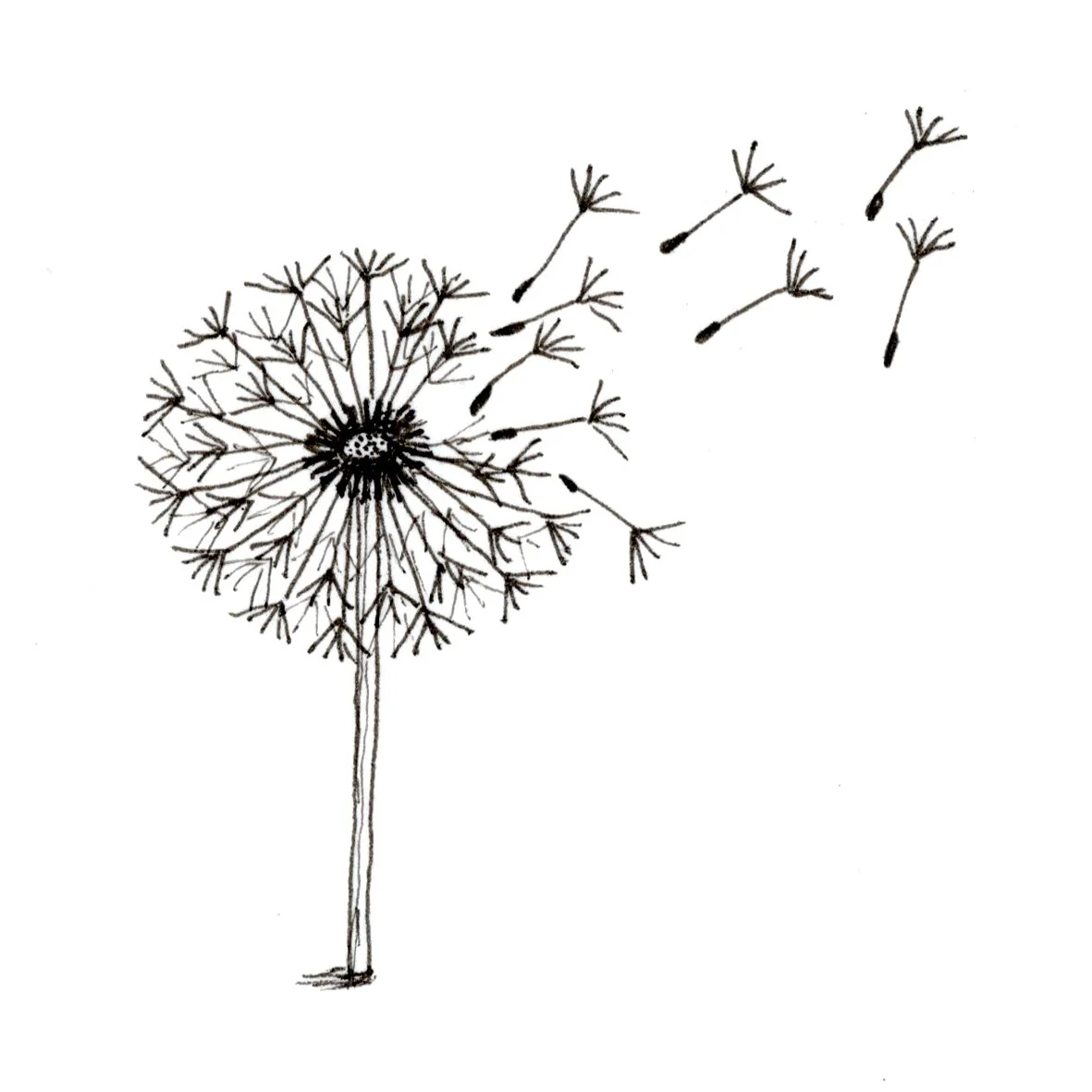 MANGO EXTRAVAGANZA dinkus/Love Crumbs 