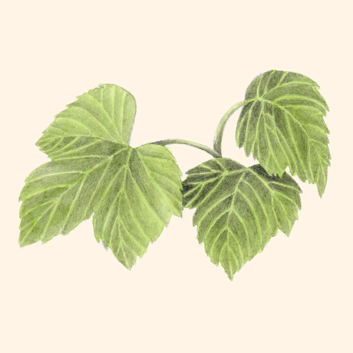 Blackcurrant/Love Crumbs by Nadine Ingram