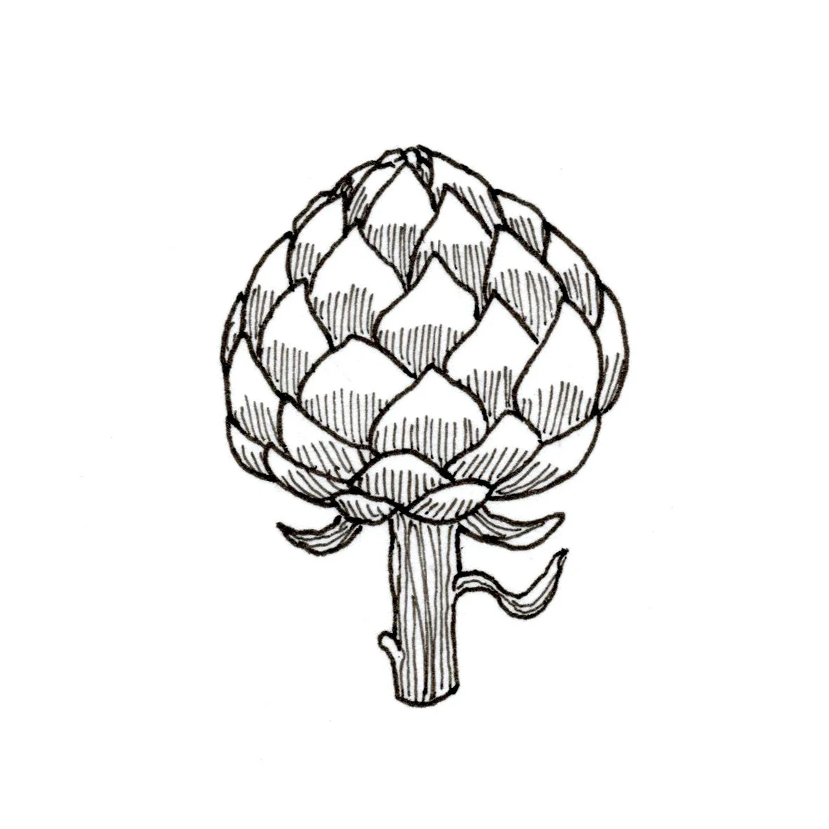 FIRST DATE TIRAMISU dinkus/Love Crumbs 