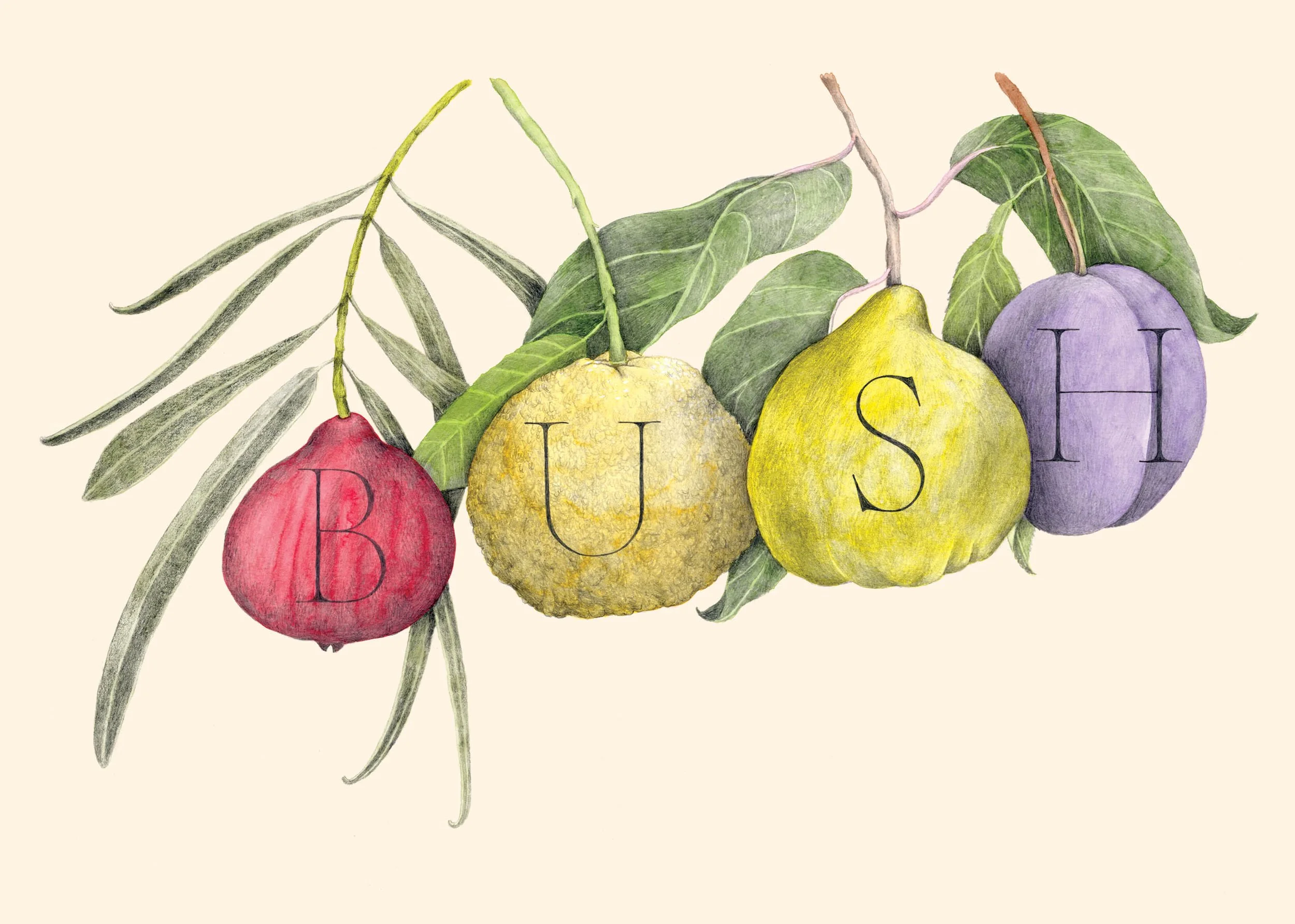 BUSH/Love Crumbs by Nadine Ingram