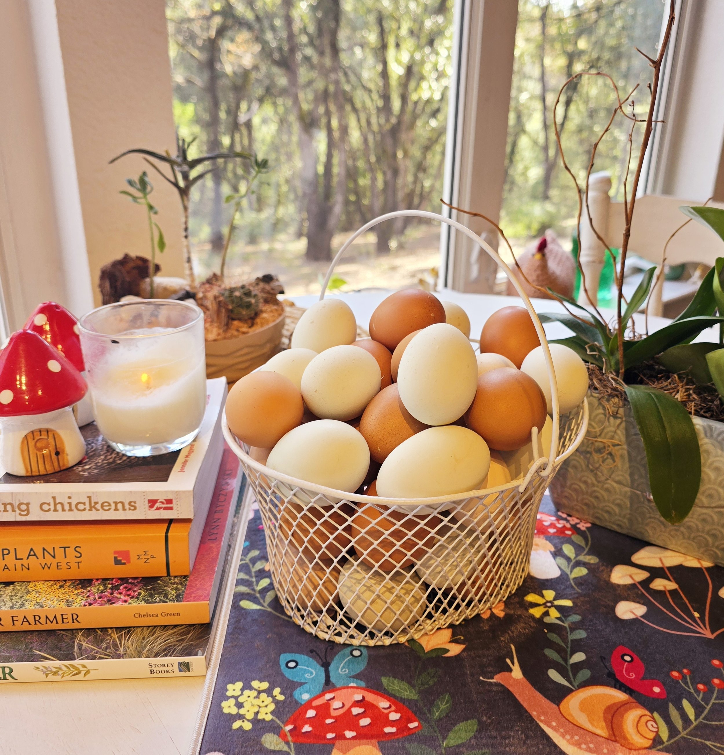 2 dozen eggs.jpg