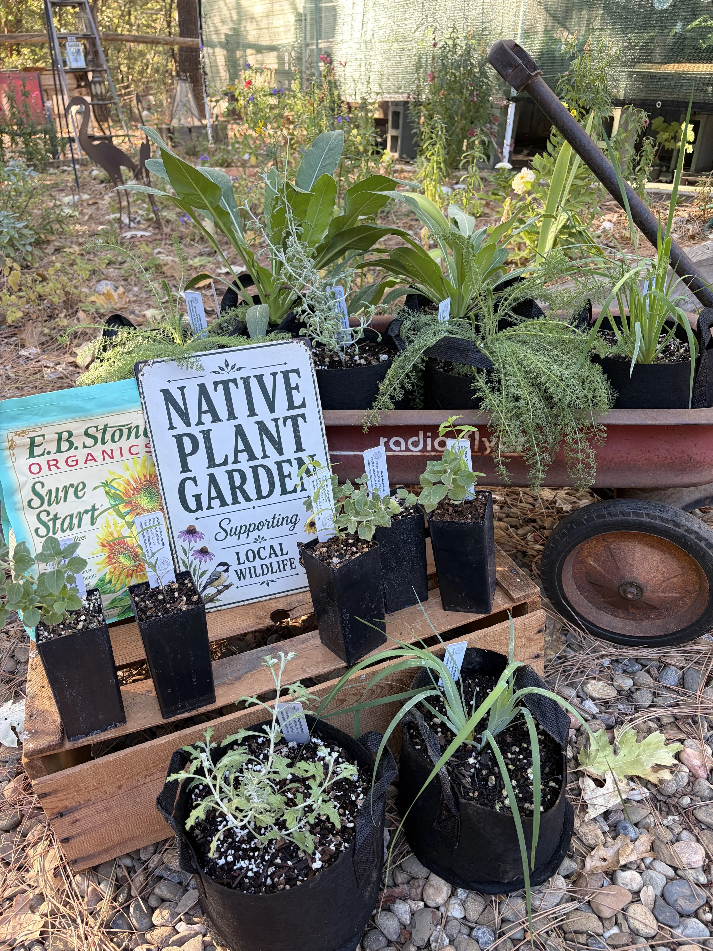 Garden Kit.jpeg