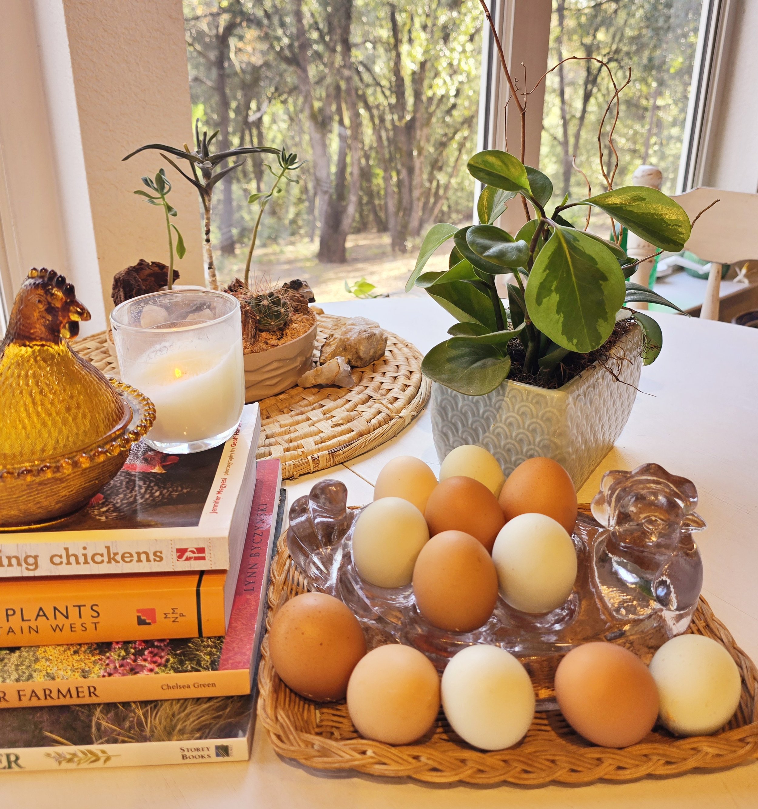 1 dozen eggs.jpg