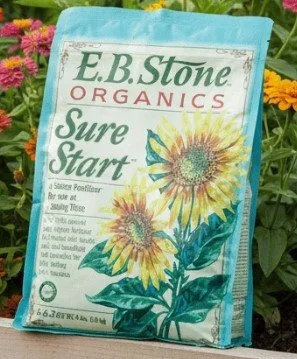 EB Stone Sure Start.jpg