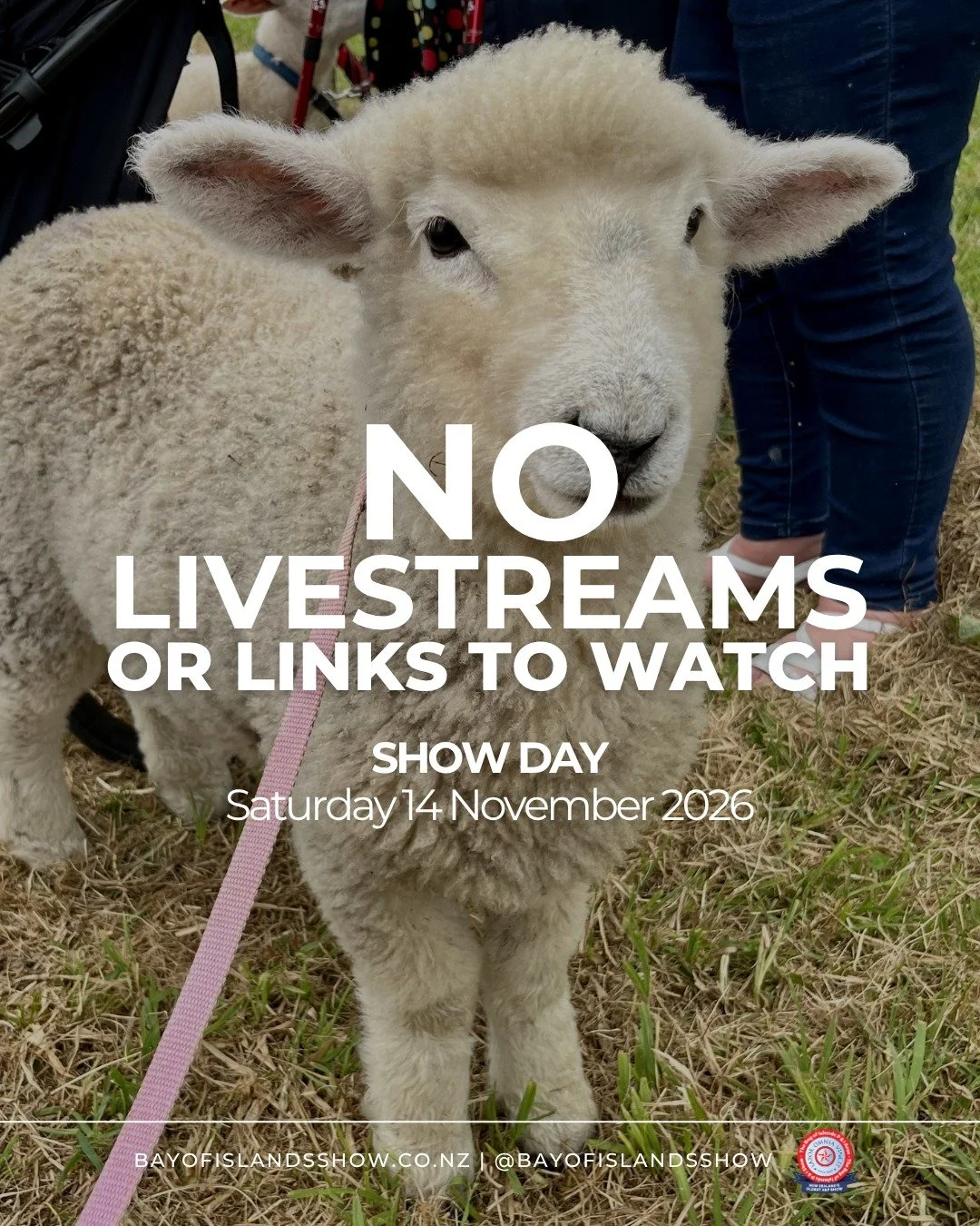 ❗ NO LIVE STREAMS❗

Every year we have to say it, but we can confirm, we will NOT be live-streaming the 2026 Show!

Please do not click on any links posted on our page or in our event. Please report any spam links, please report anyone claiming to be