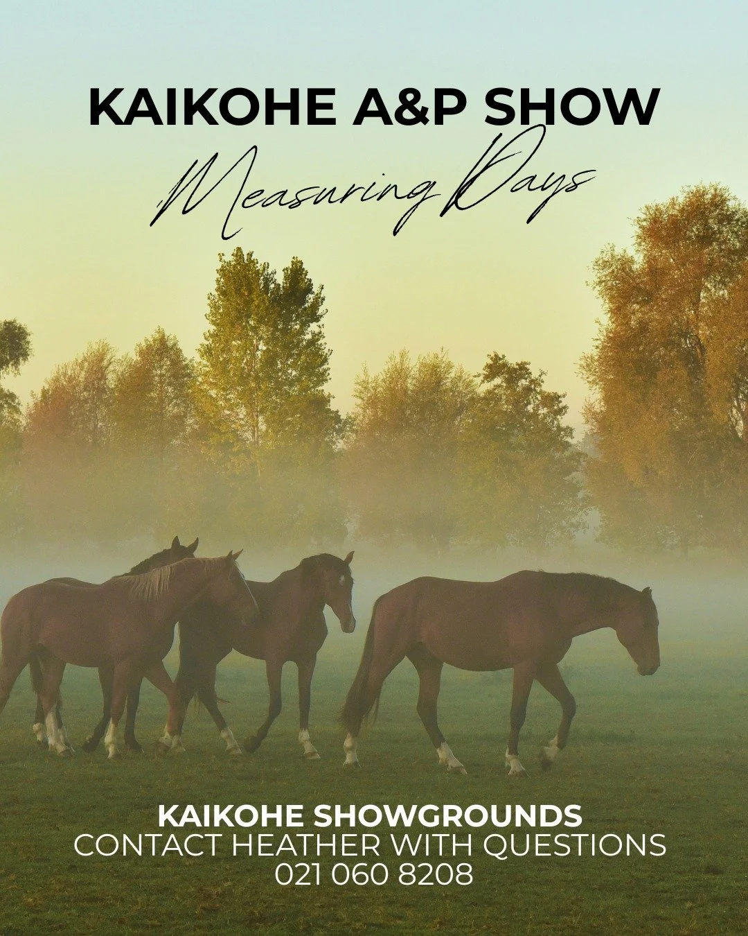 Measuring Days - held at the Kaikohe Showgrounds 

These will be held on:
🐴 Sunday 6 September
🐴 Saturday 3 October
🐴 Sunday 18 October

12pm&ndash;2pm each day. 

🐴 $100 for a Life Certificate
🐴 $40 for a New Measure
🐴 $25 for a Re-Measure
🐴 
