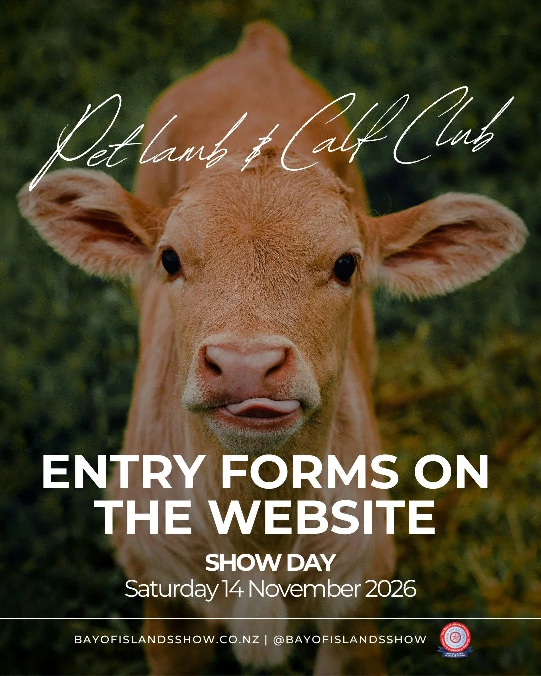 You can find the schedule &amp; entry form for Pet Lambs &amp; Calf Club on our website! Enter before the Show, or on the day!

https://www.bayofislandsshow.co.nz/lamb-calf

#bayofislandsshow