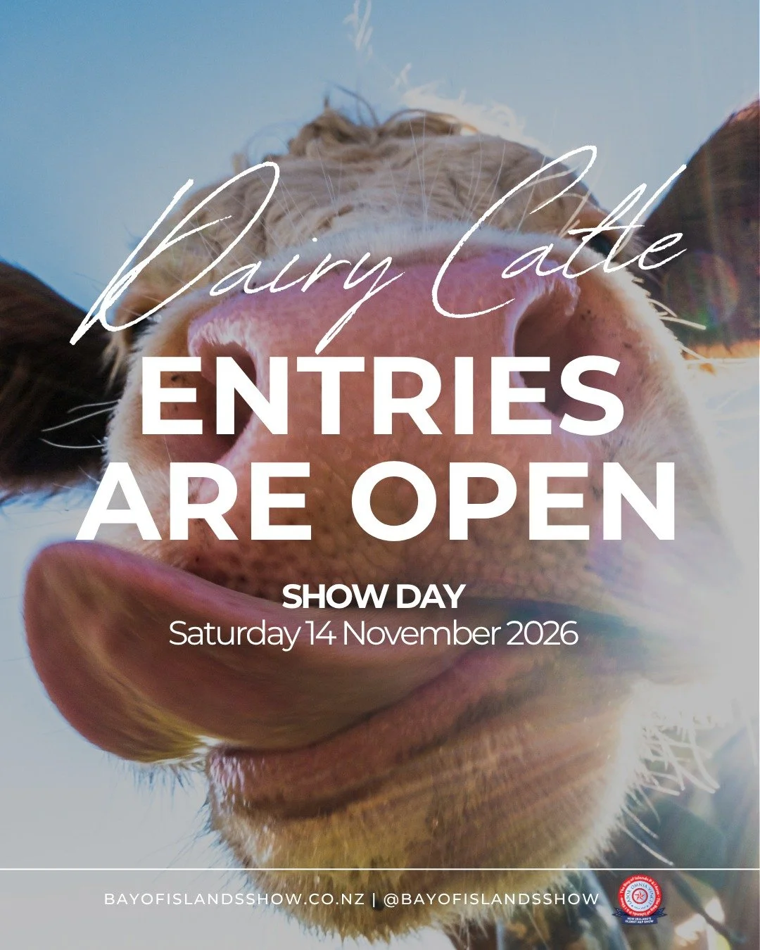 🐮DAIRY CLASSES ARE OPEN TO ENTER🐮

You can find the Schedule &amp; all details on our website.
https://www.bayofislandsshow.co.nz/livestock

#bayofislandsshow