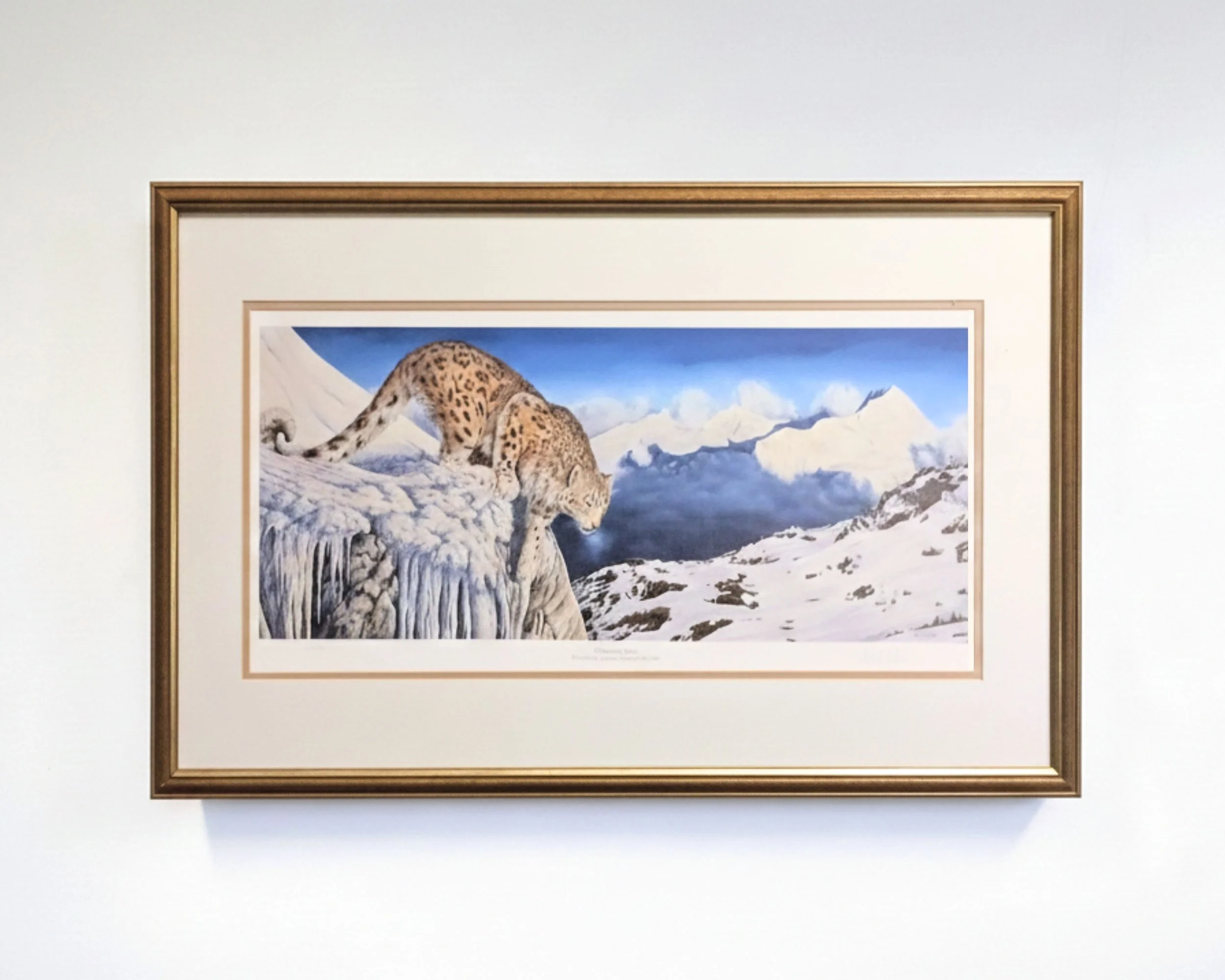 Snow Leopard - Paul Dyson