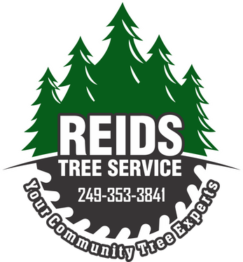 Reids Tree Service