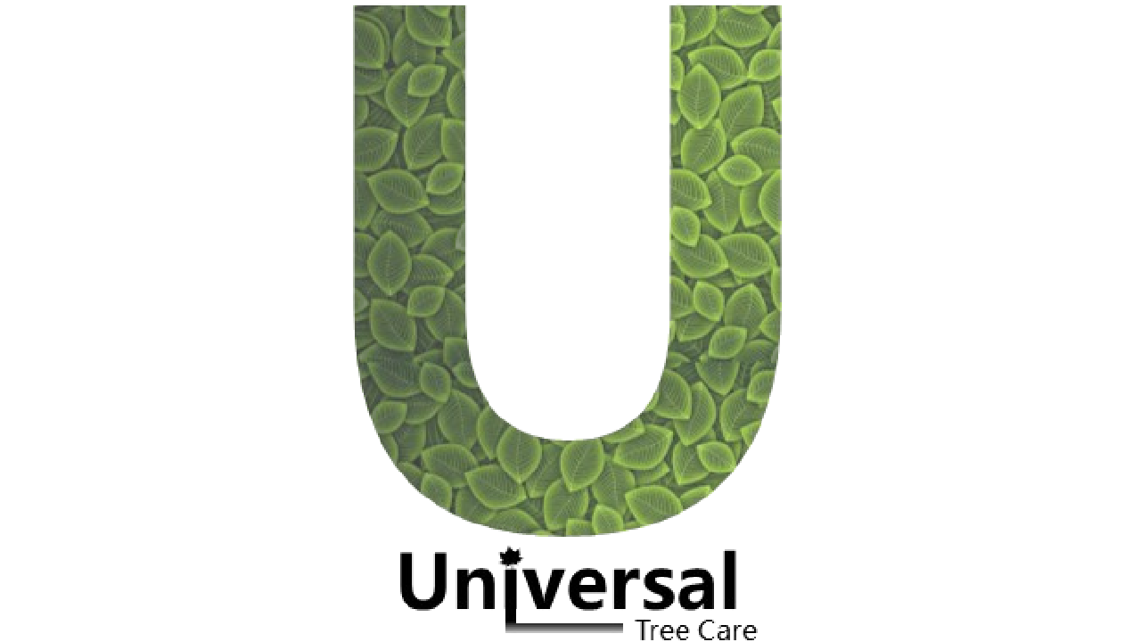 Universal Tree Care