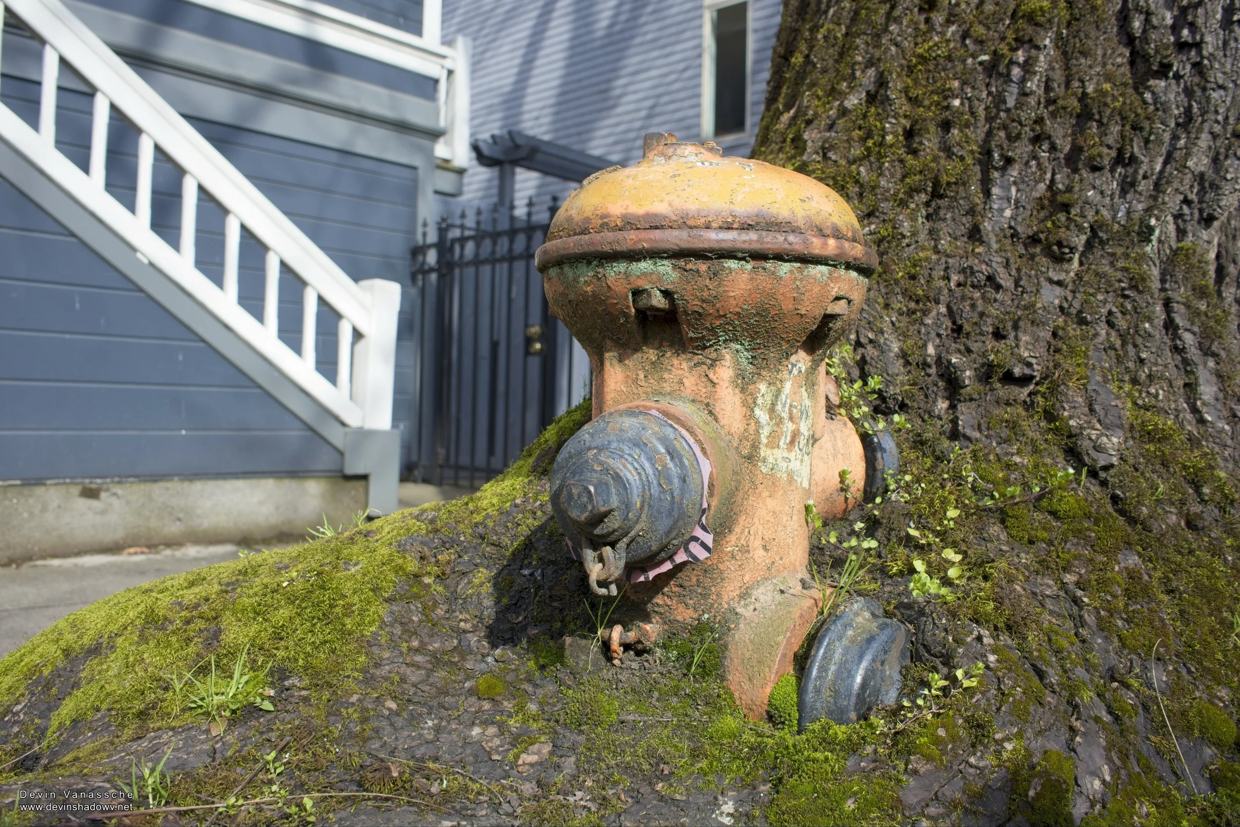 To the full gallery: https://tinyurl.com/4cwsm5vd