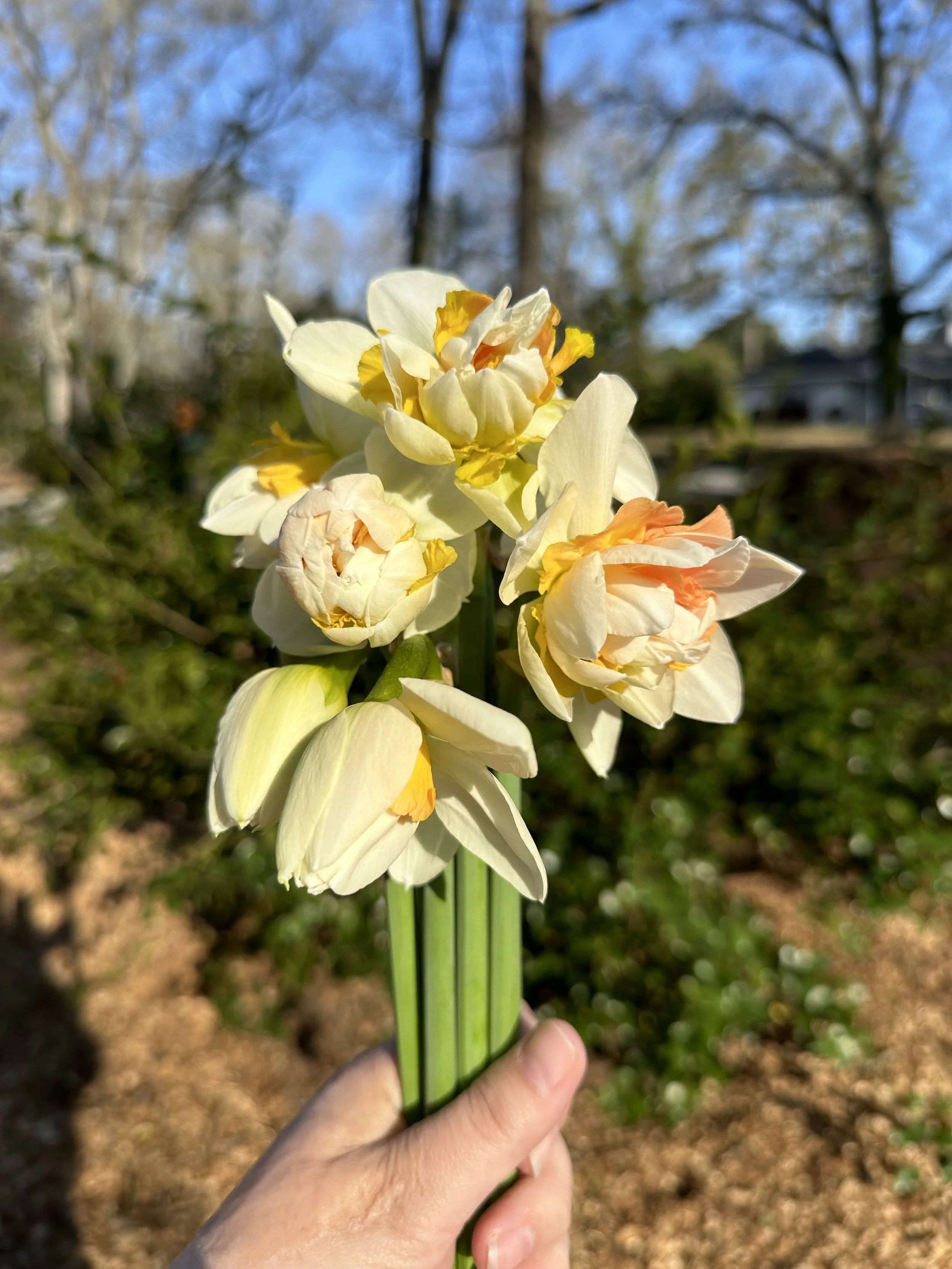 dig into it 004: focus reset