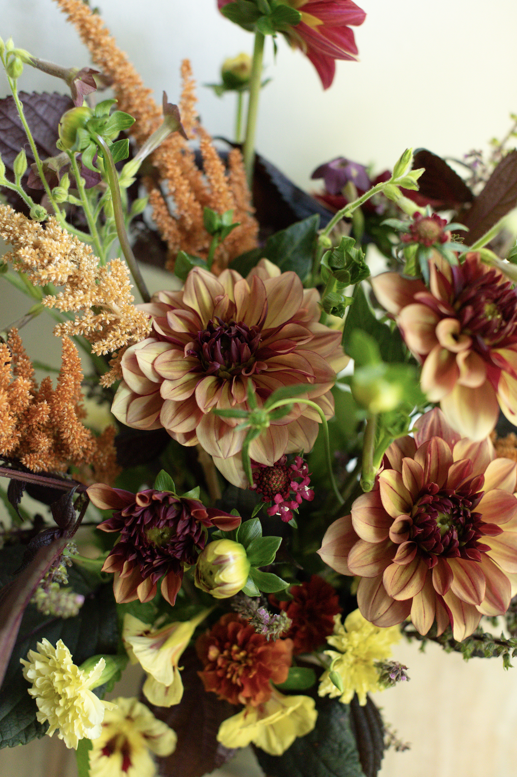 Screenshot 2026-04-21 at 3.35.22 PM.png