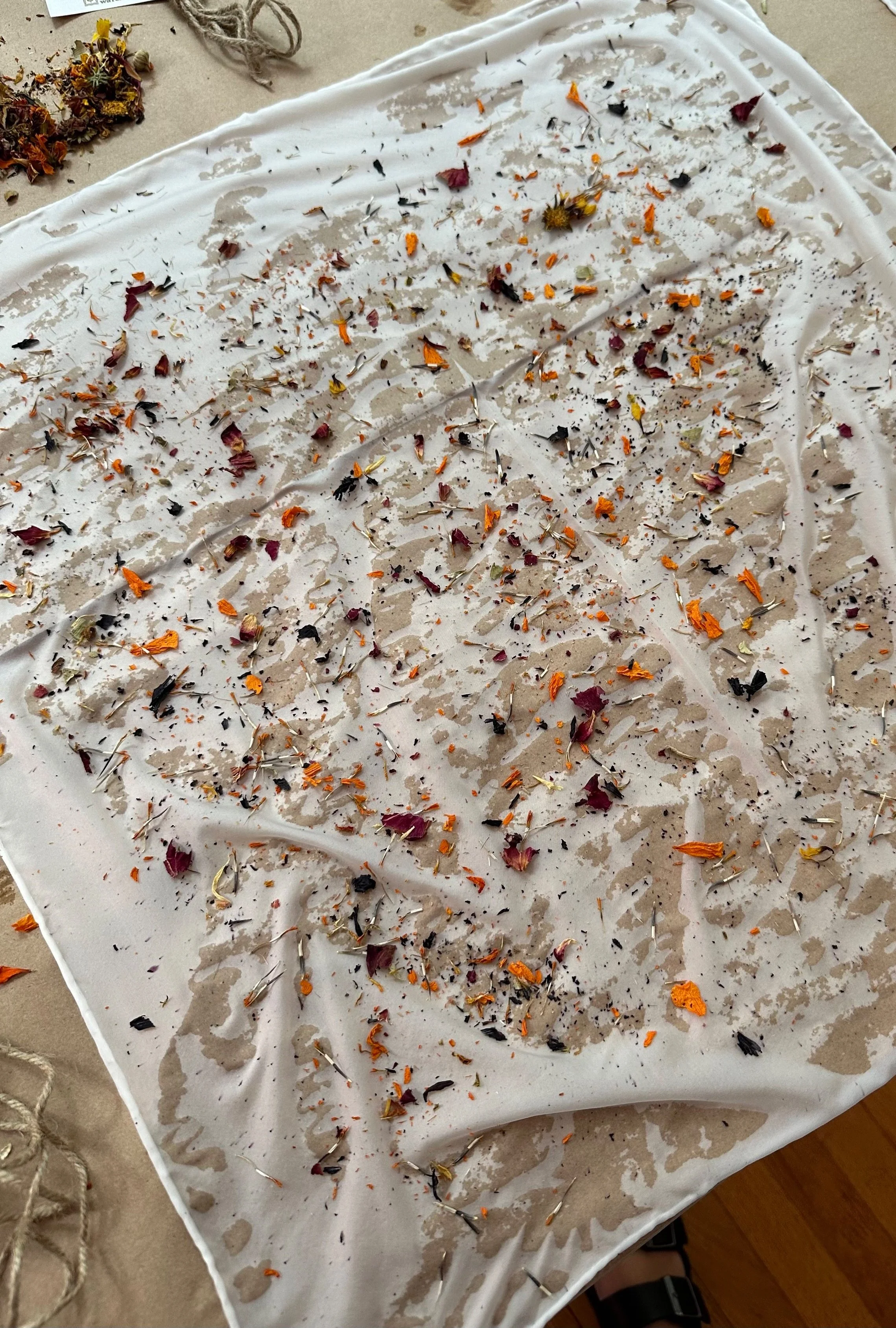 IMG_1284.jpg (Copy) (Copy)