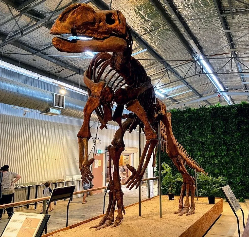 dinosaur-hughenden1.jpg