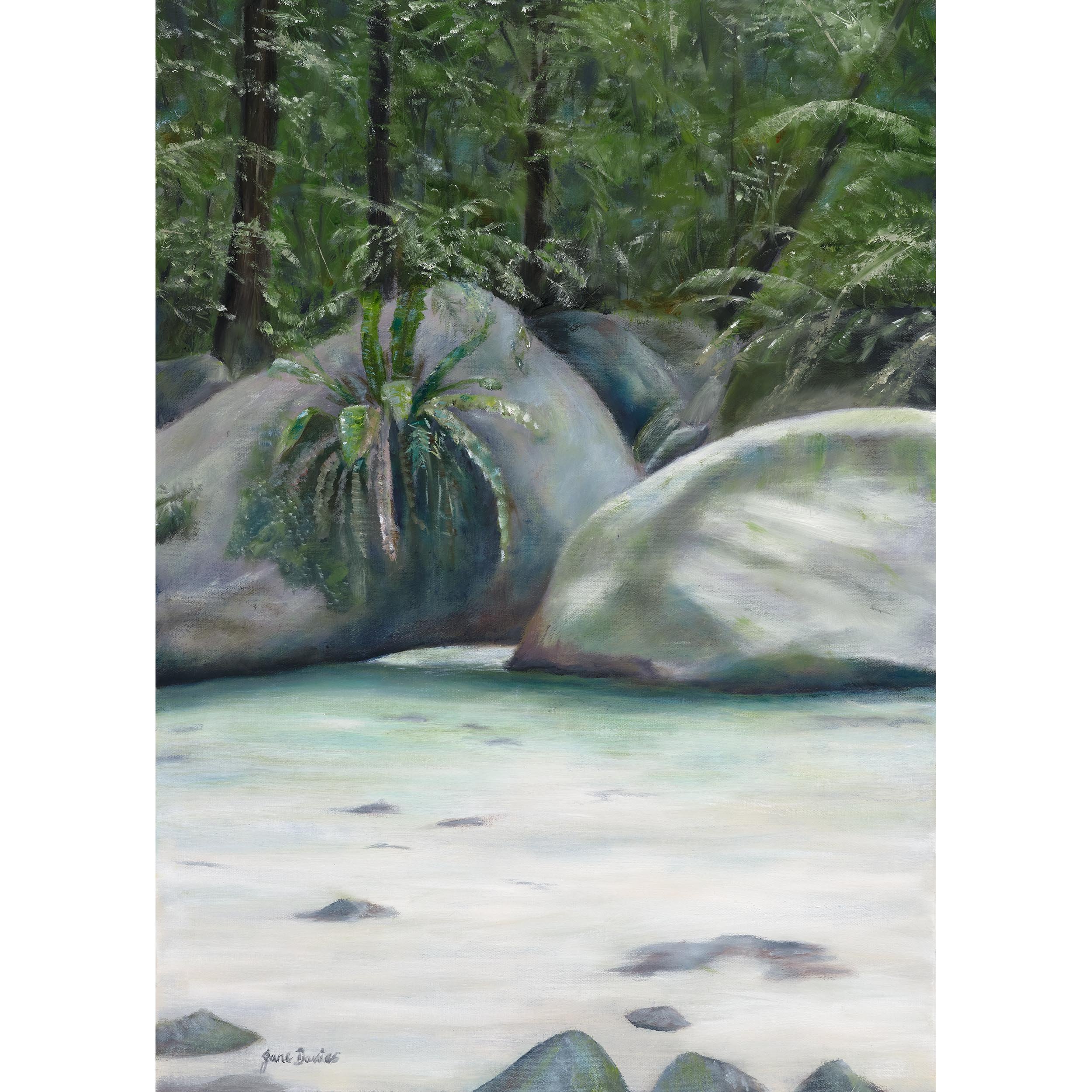 Jane-Davies_004_Mossman-Gorge_2500px Square.jpg
