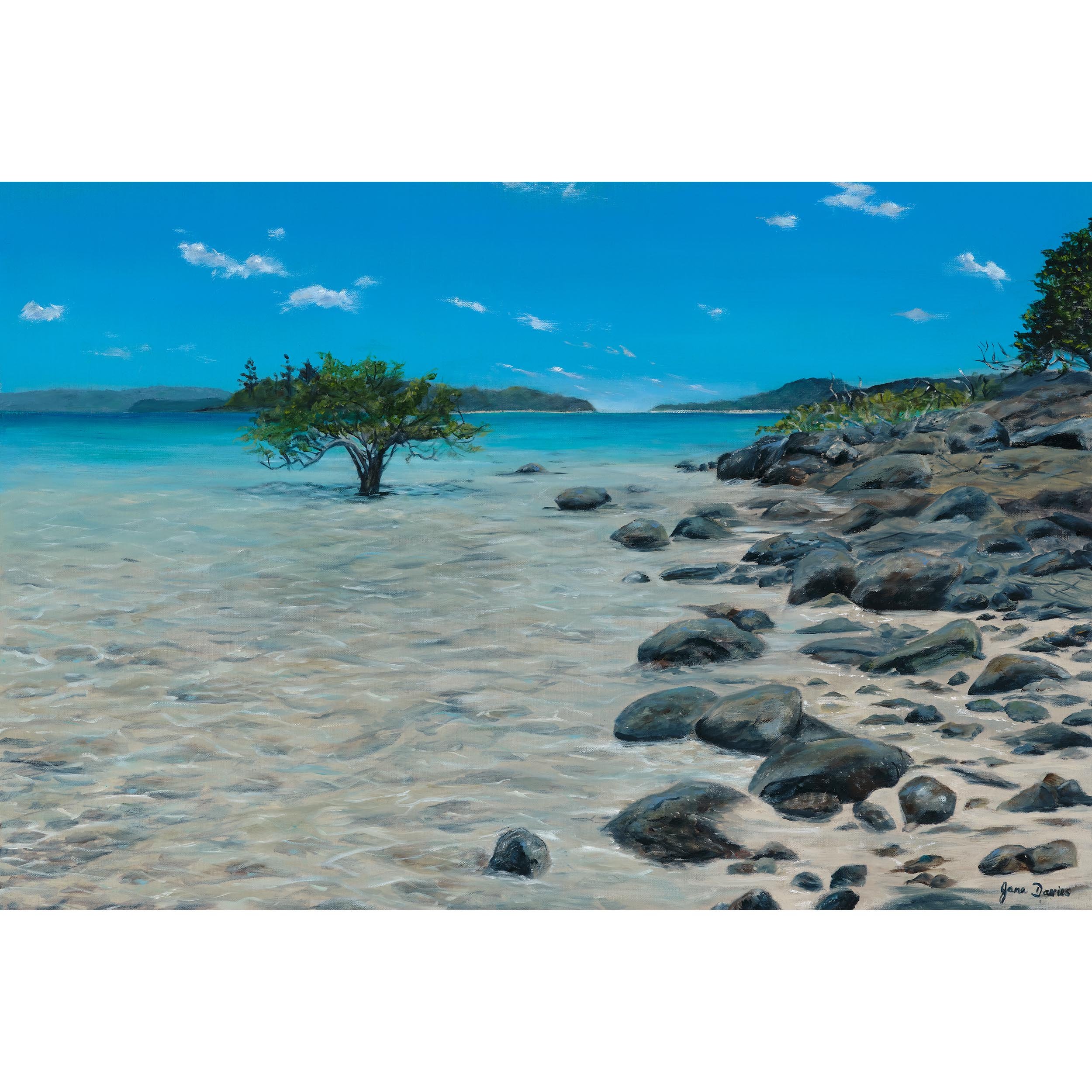 Jane-Davies_017_Hidden-Cove_2500px Square.jpg