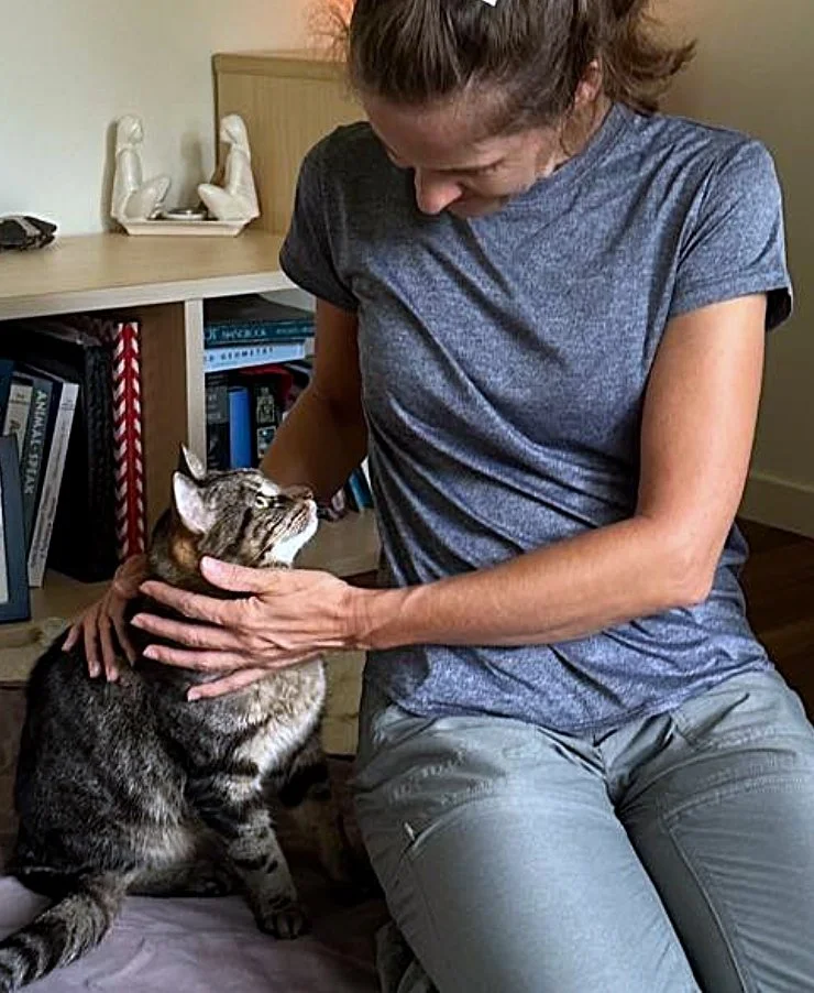 offering a Reiki session