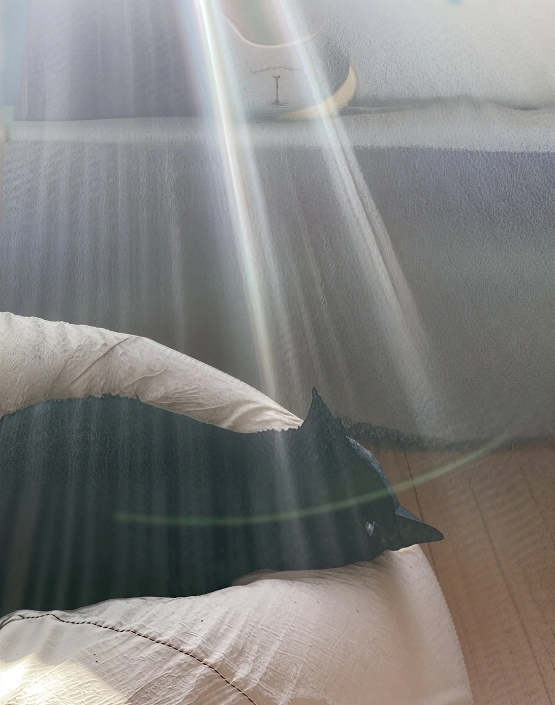 black cat in bean bag with sun rays
