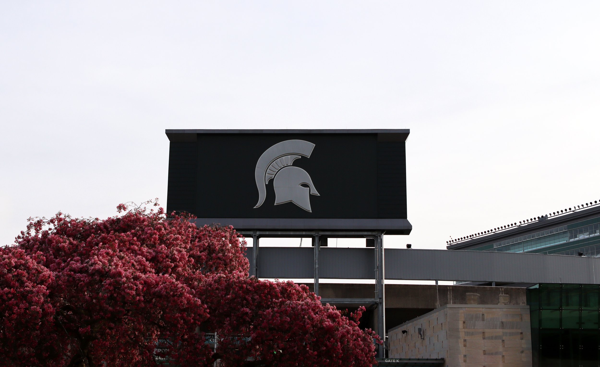 MSU Football.jpg
